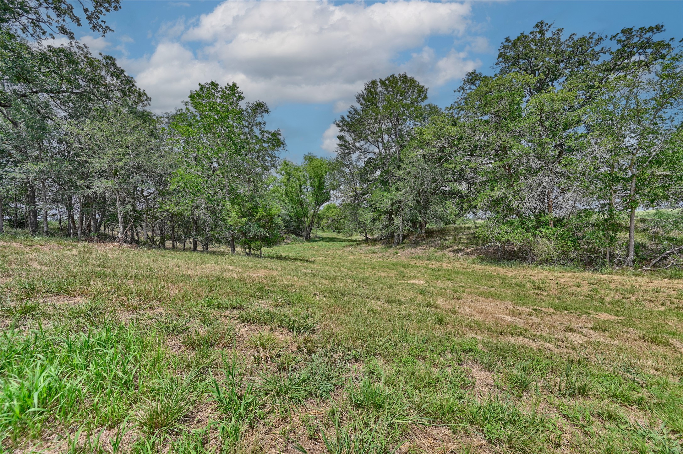 180 Sunny Day Dr Property Photo 1