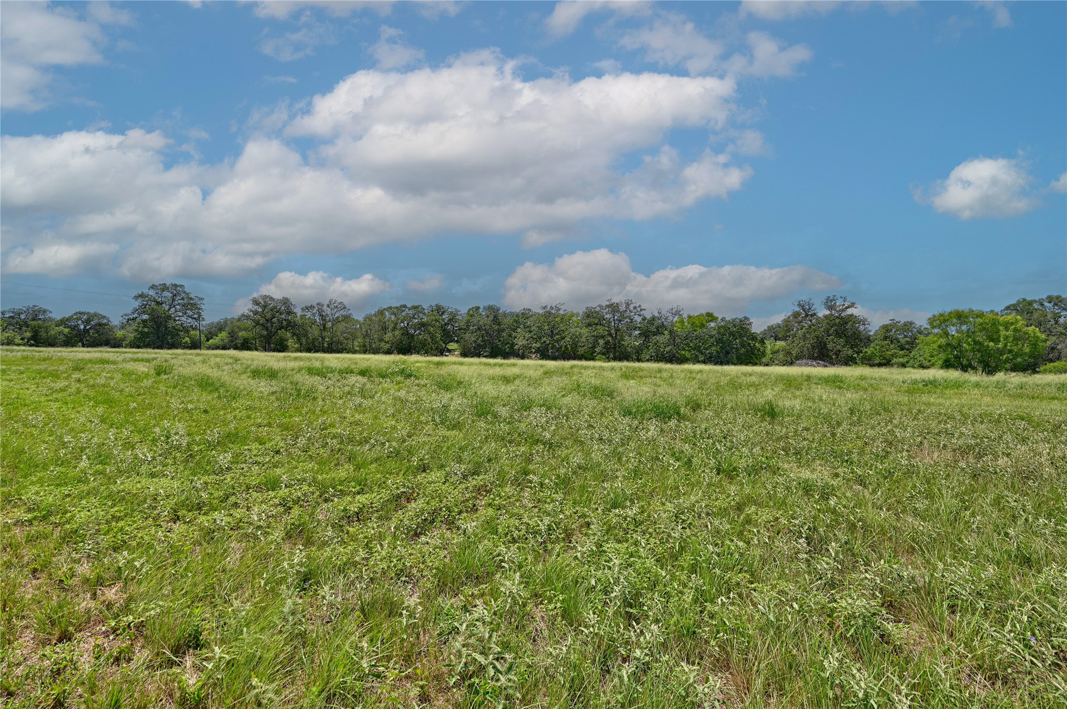 180 Sunny Day Dr Property Photo 6