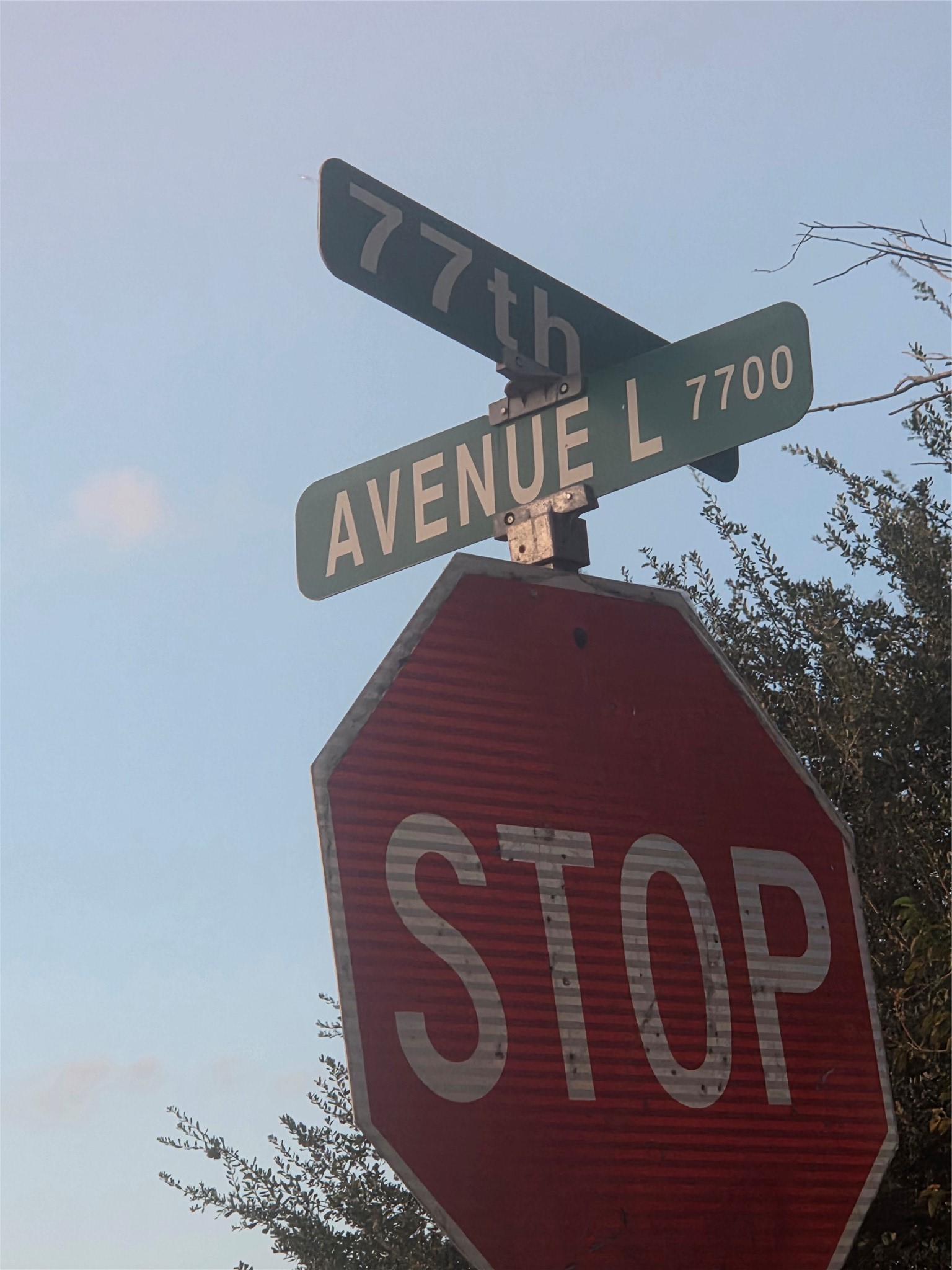0 Avenue L Property Photo 1
