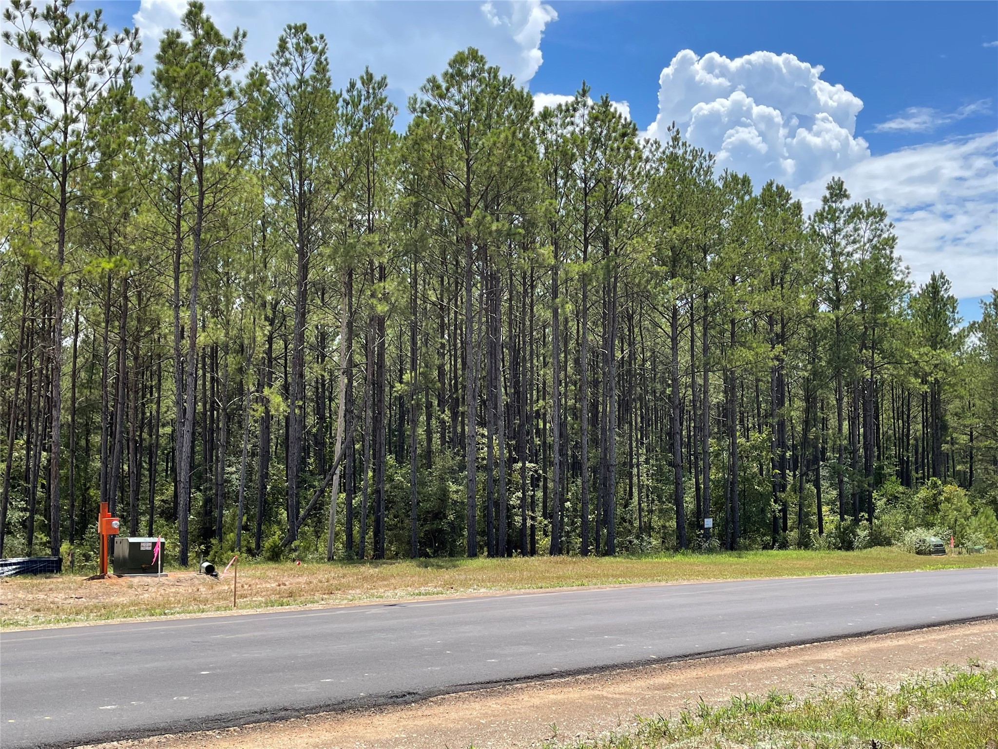 10891 Ruger Road Property Photo 9