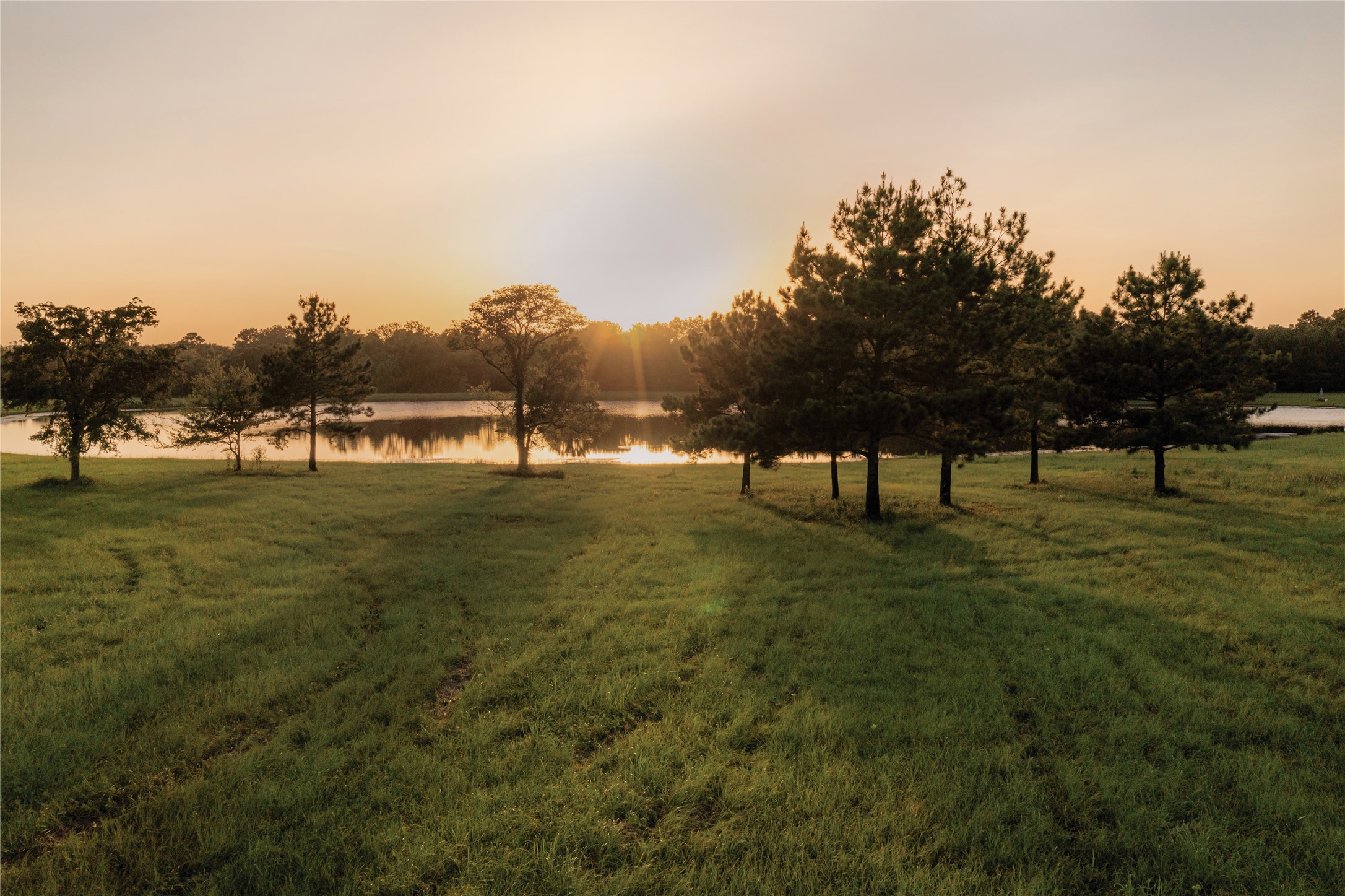 10891 Ruger Road Property Photo 14