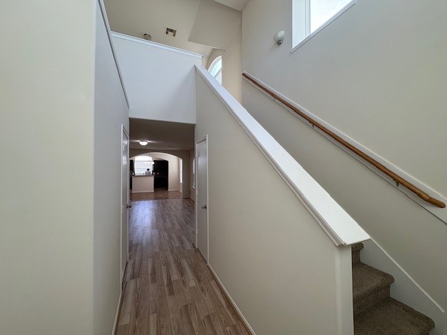 2819 Back Bay Brook Trail Property Photo 8