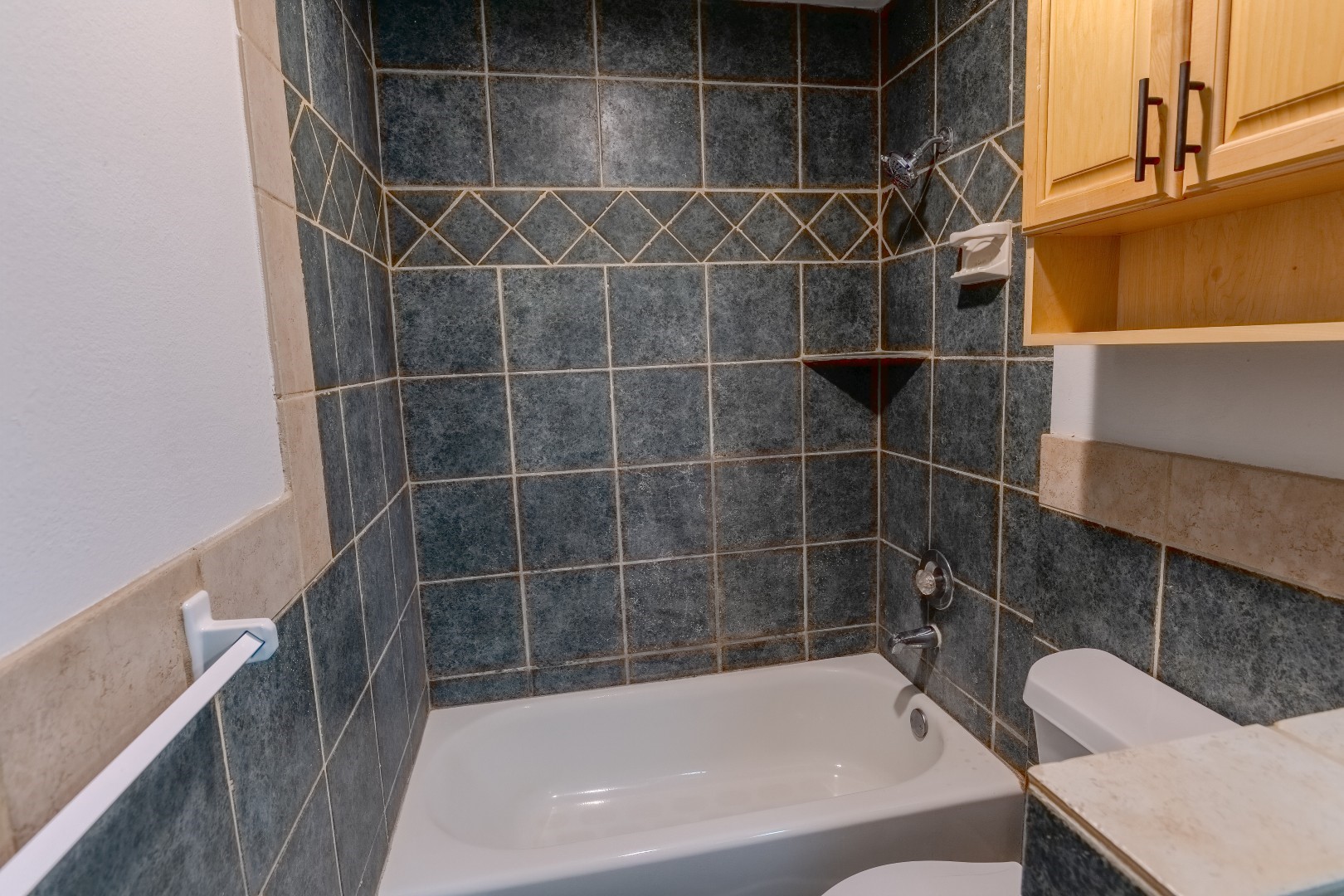4144 Greystone Way 702 Property Photo 12