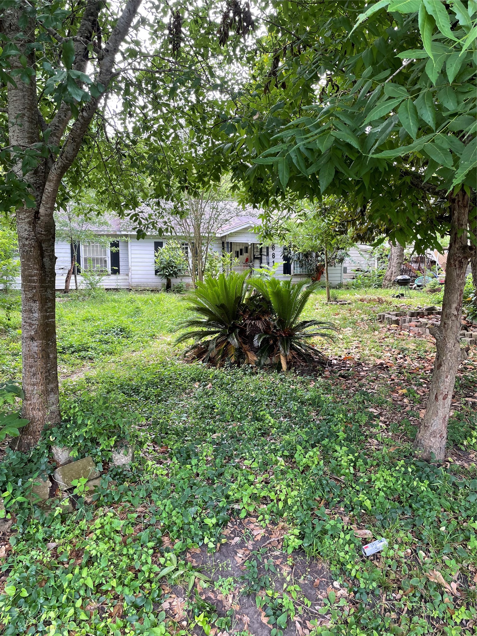 6814 Evans St Property Photo 1