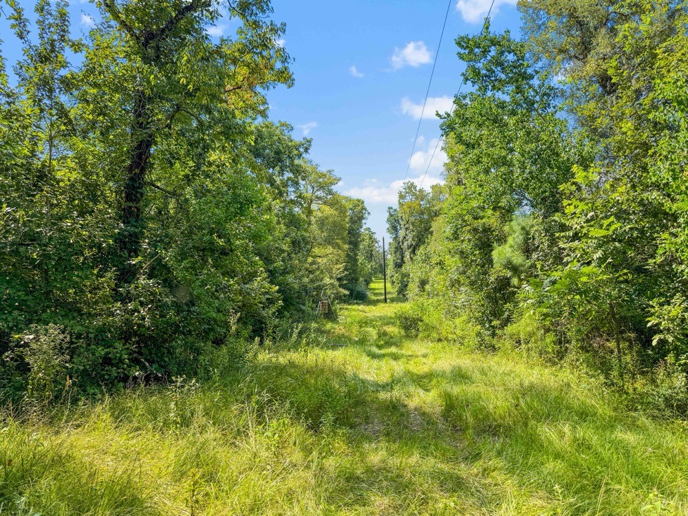 1100 Cr 2306 Property Photo 4