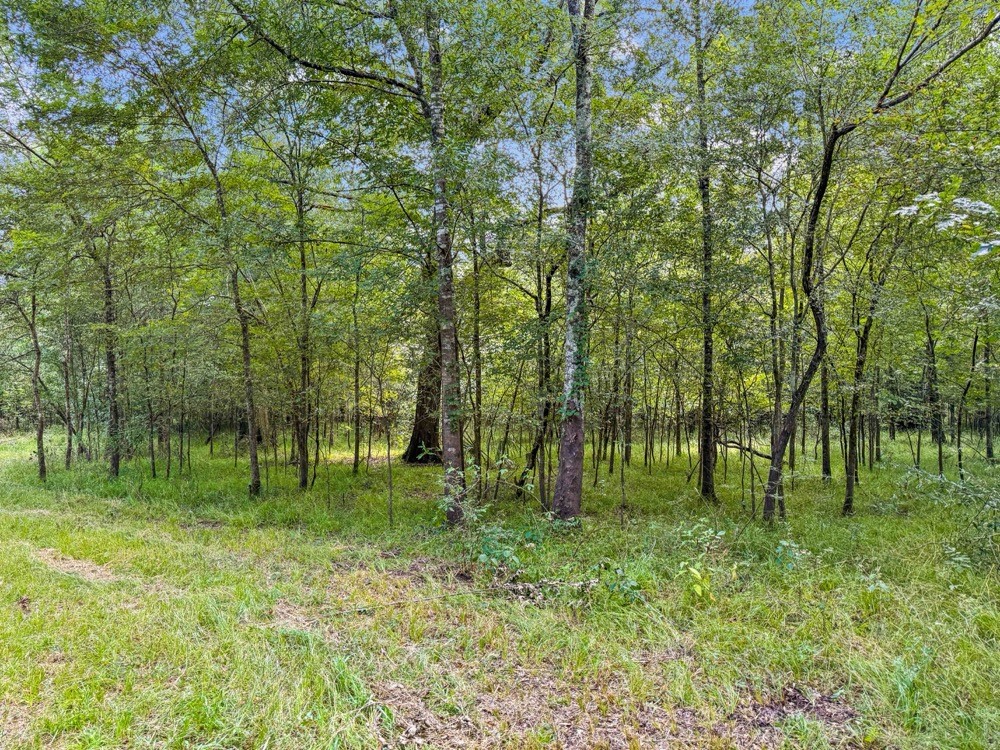 1100 Cr 2306 Property Photo 6