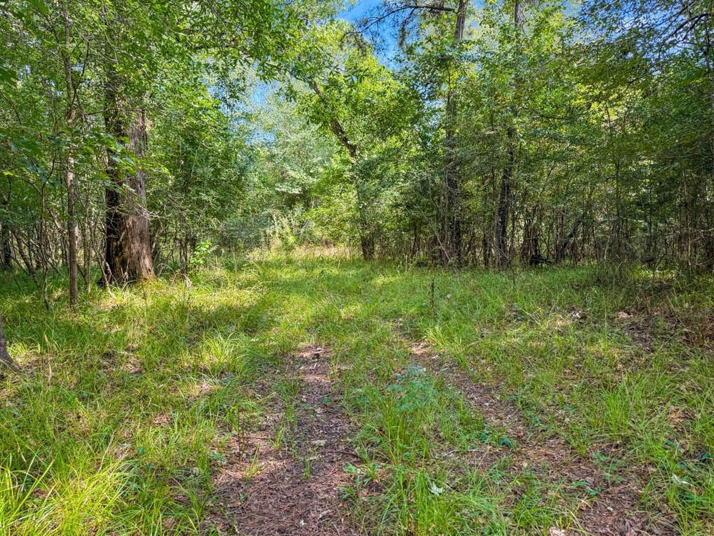 1100 Cr 2306 Property Photo 7