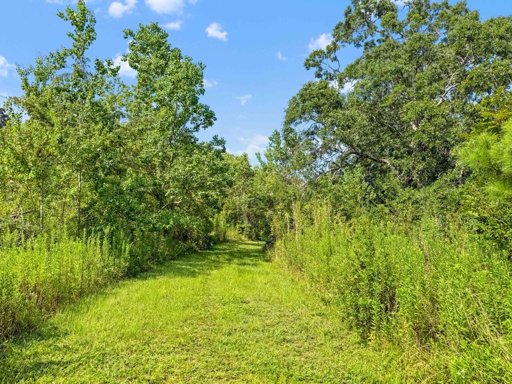 1100 Cr 2306 Property Photo 9