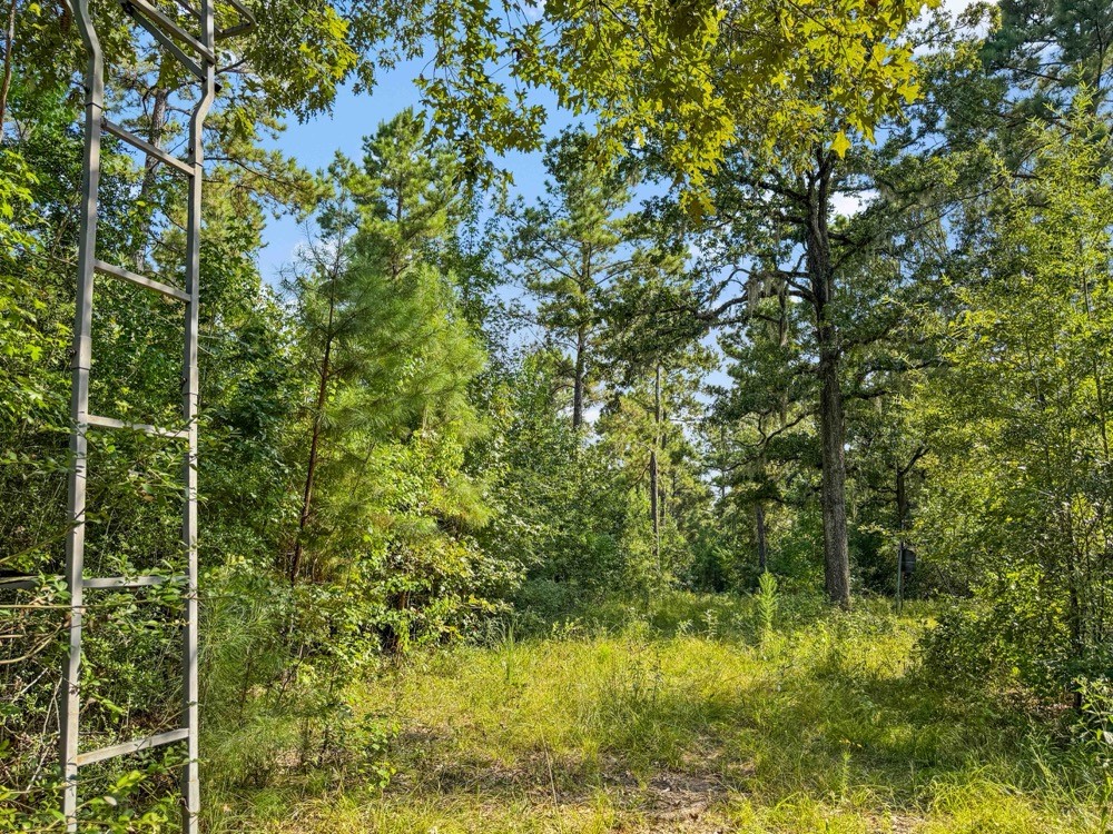 1100 Cr 2306 Property Photo 13
