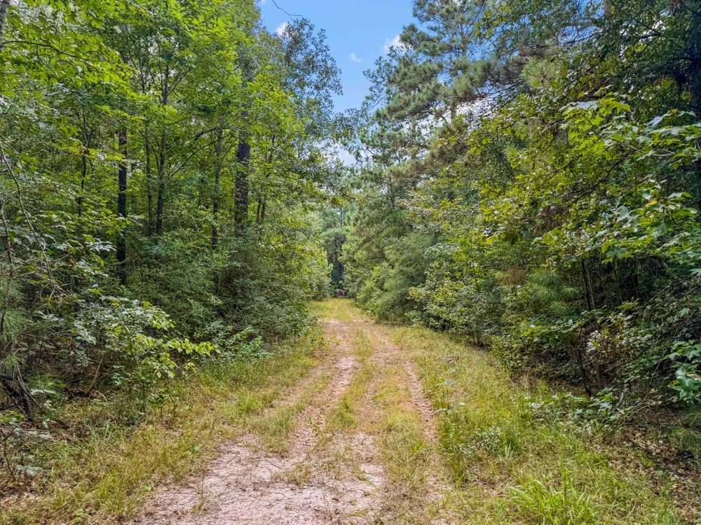1100 Cr 2306 Property Photo 16