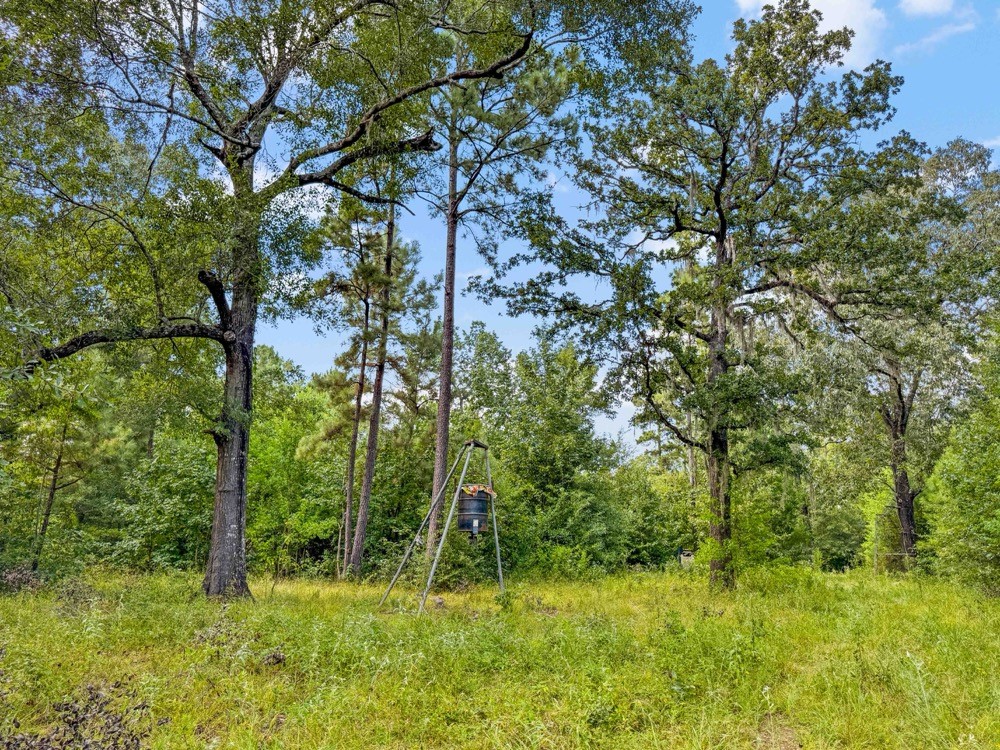 1100 Cr 2306 Property Photo 17