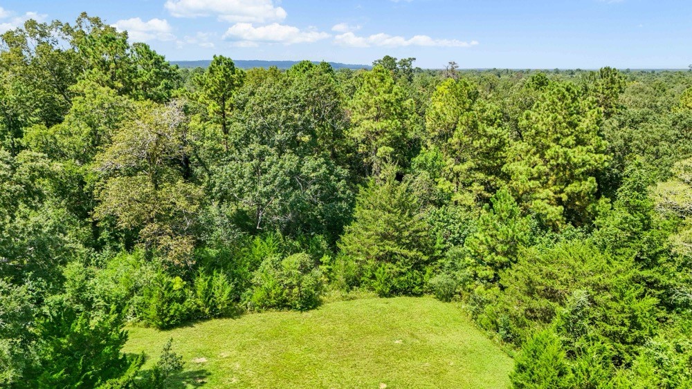 1100 Cr 2306 Property Photo 38