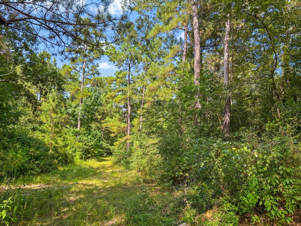 1100 Cr 2306 Property Photo 40