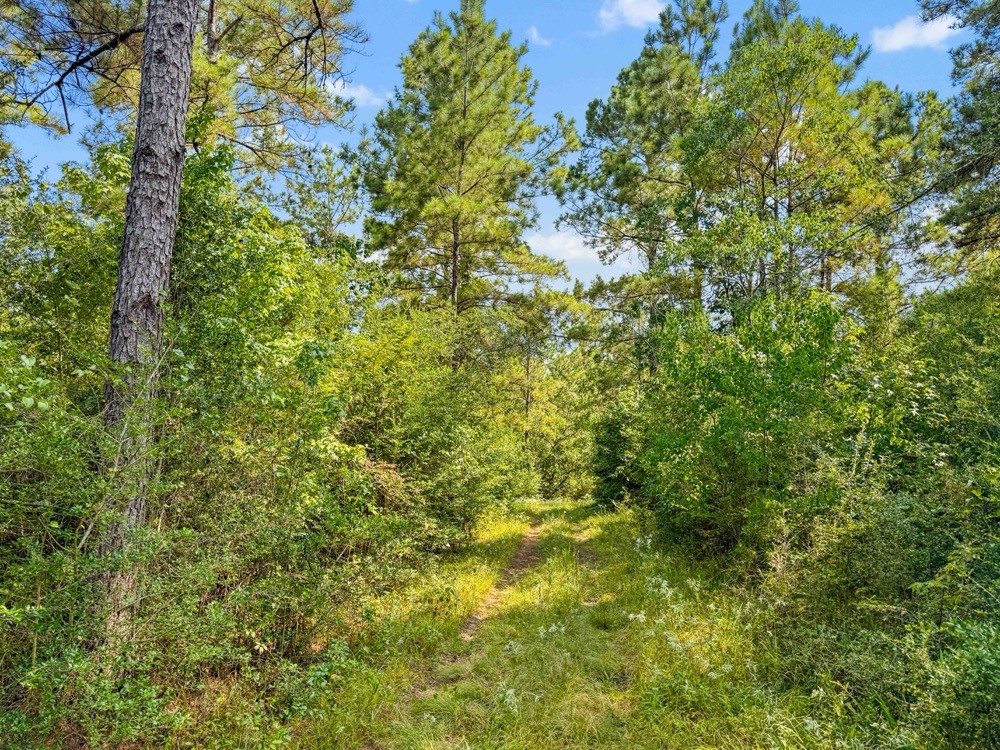 1100 Cr 2306 Property Photo 41
