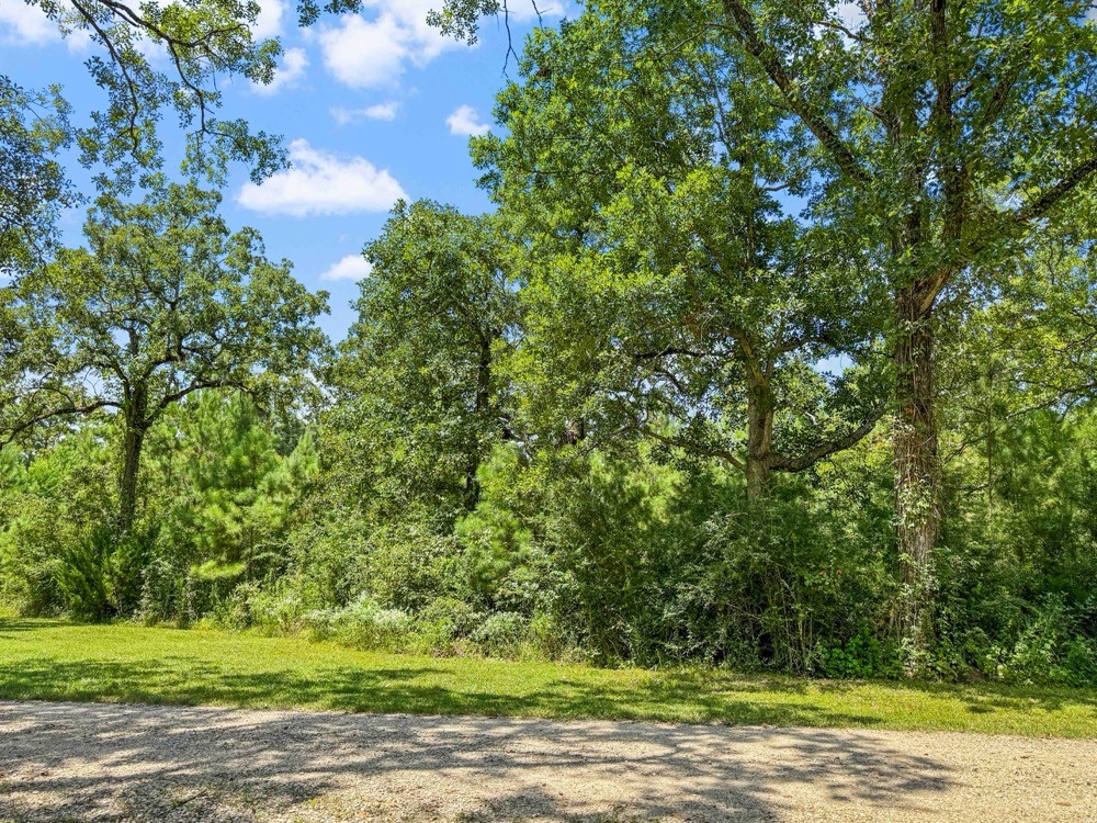 1100 Cr 2306 Property Photo 44