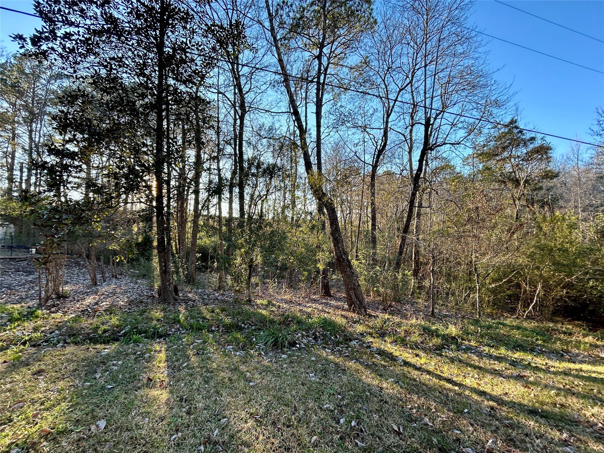 Tbd Royal Springs Road Property Photo 2