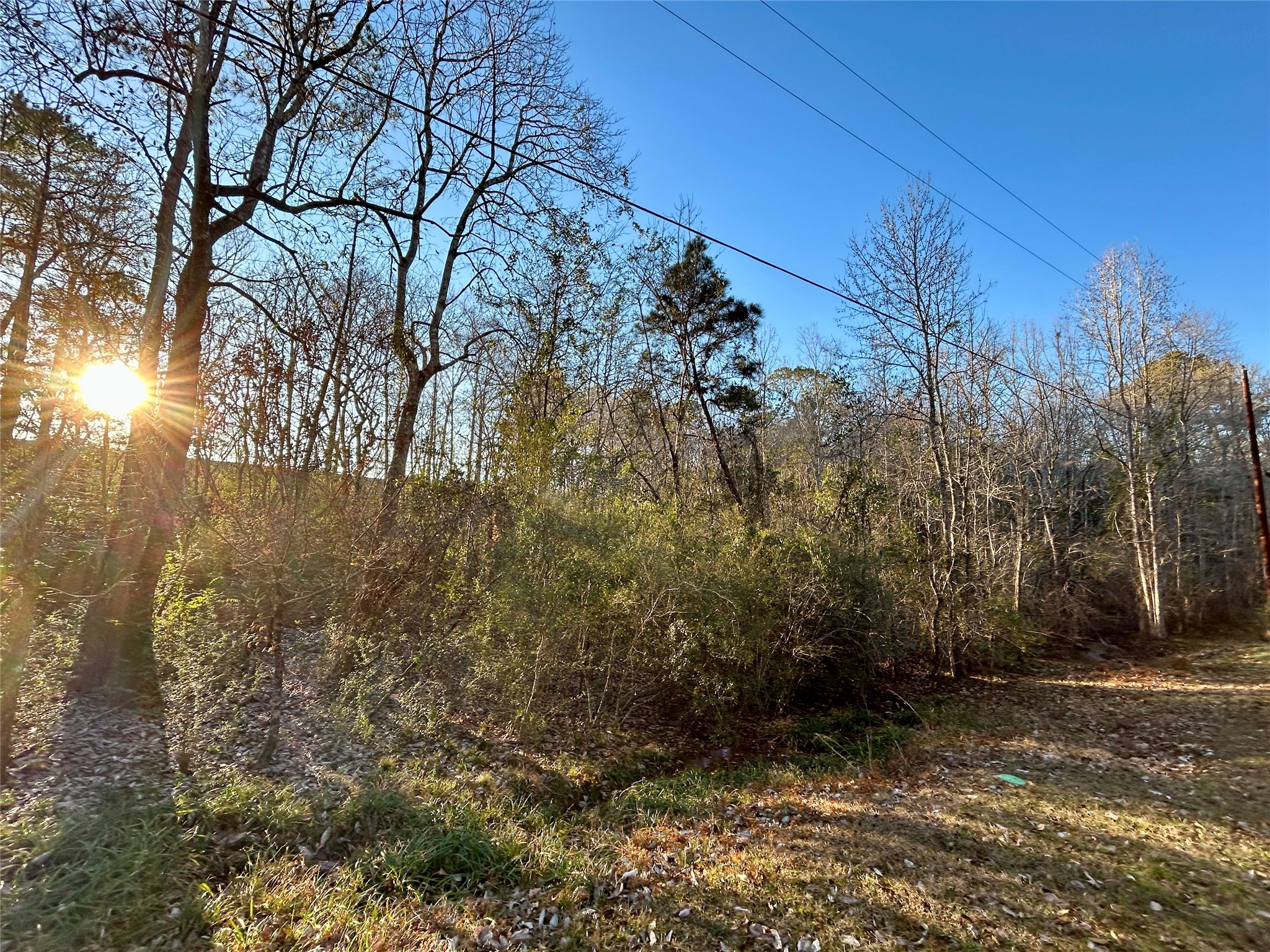 Tbd Royal Springs Road Property Photo 4