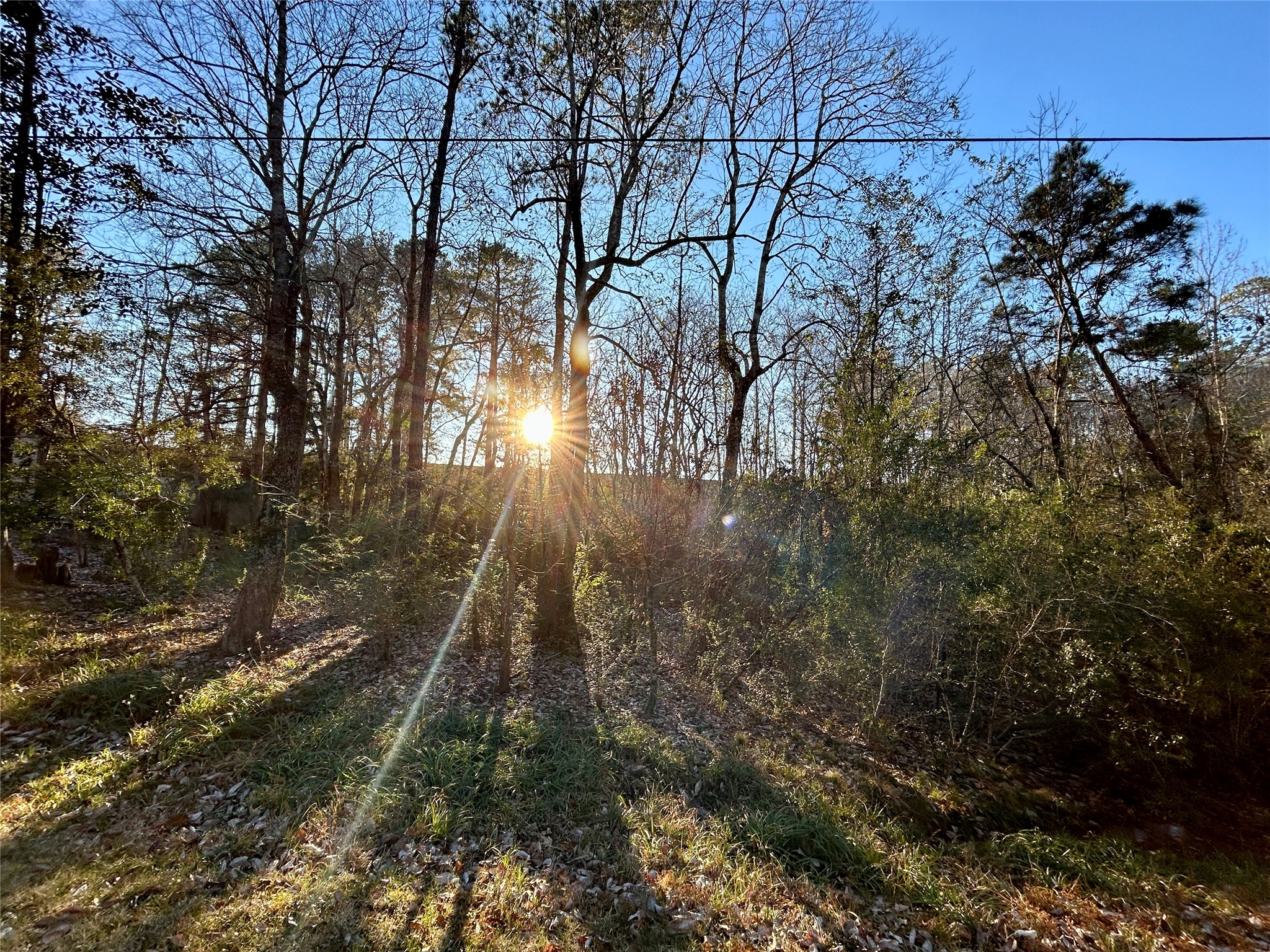 Tbd Royal Springs Road Property Photo 5