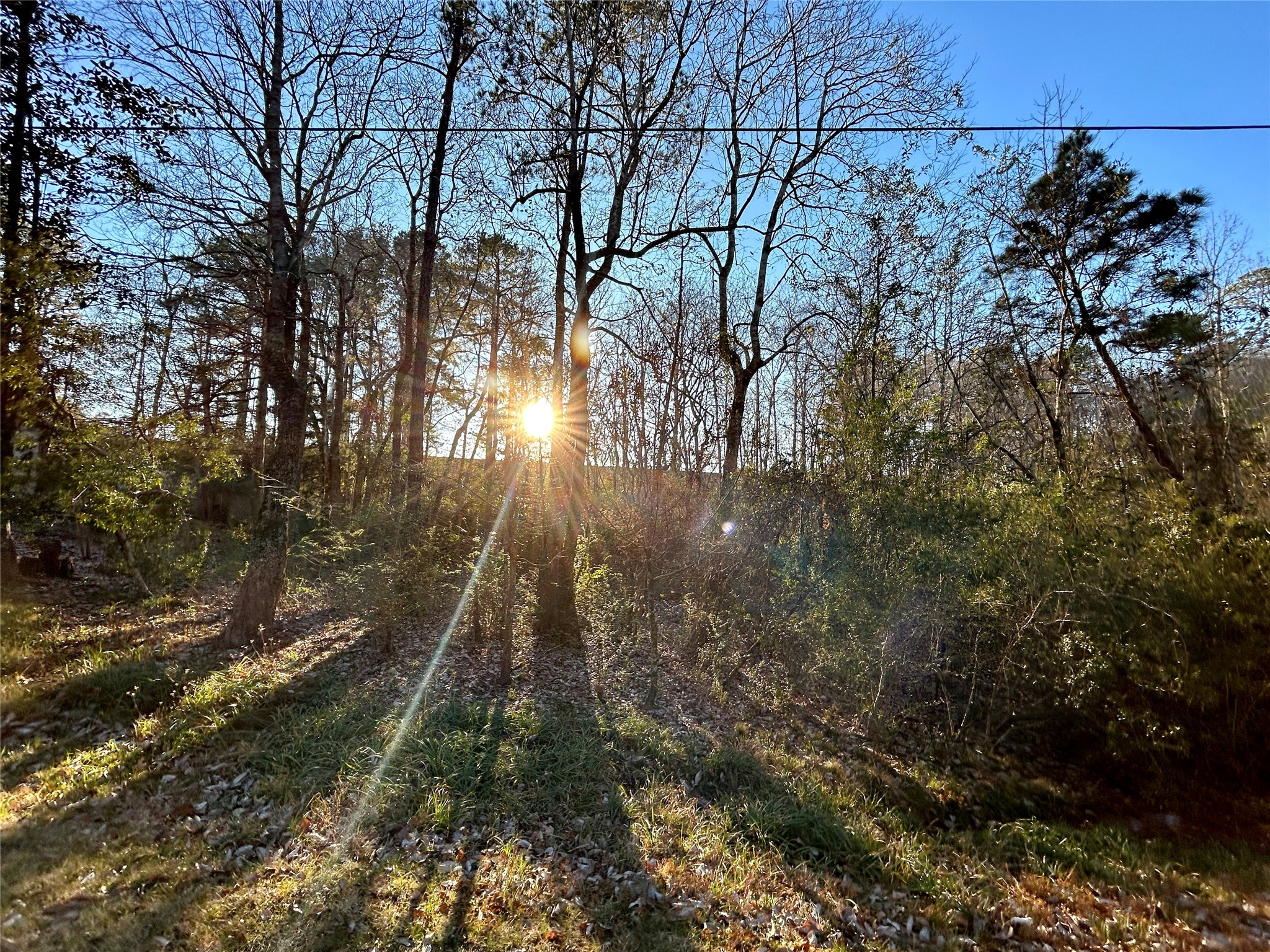 Tbd Royal Springs Road Property Photo 6