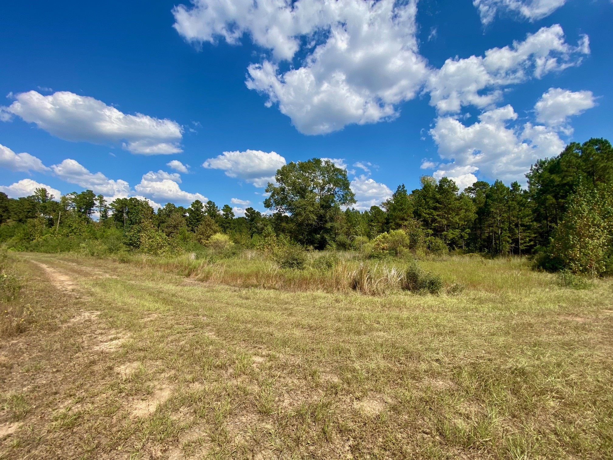 1593 Cr 2290 Property Photo 49