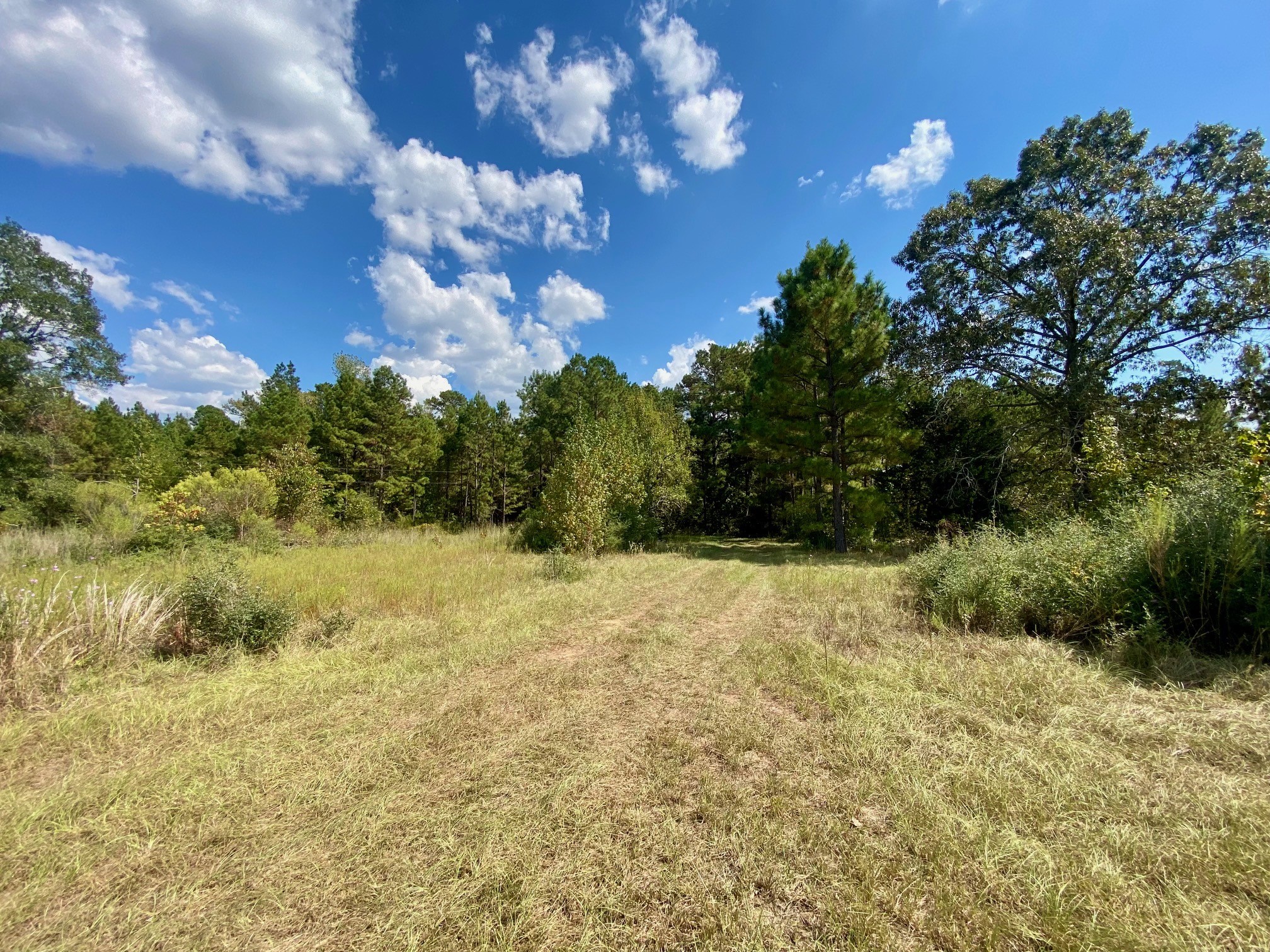 1593 Cr 2290 Property Photo 50