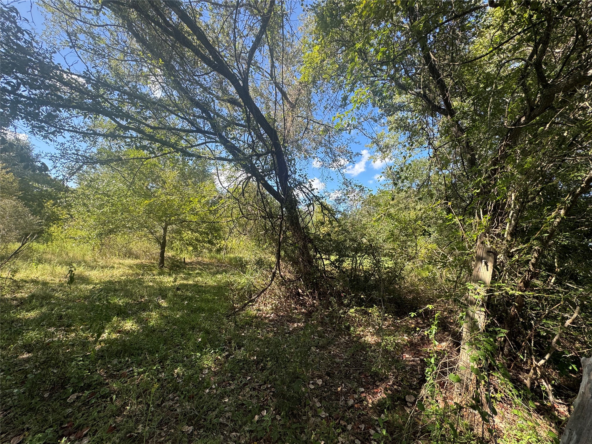 16547 Highway 105 Property Photo 9