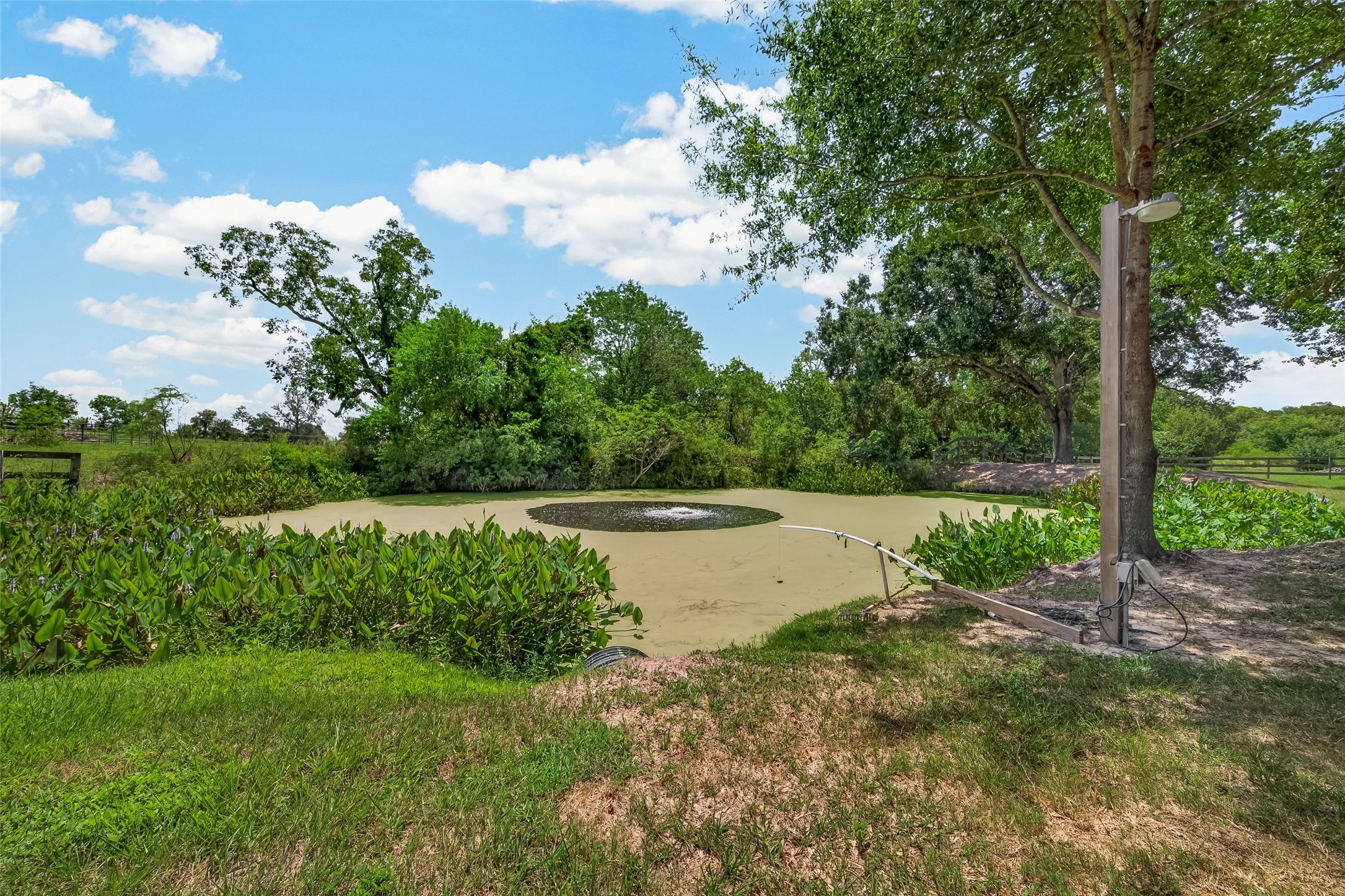 8979 Fm 359 Road Property Photo 33
