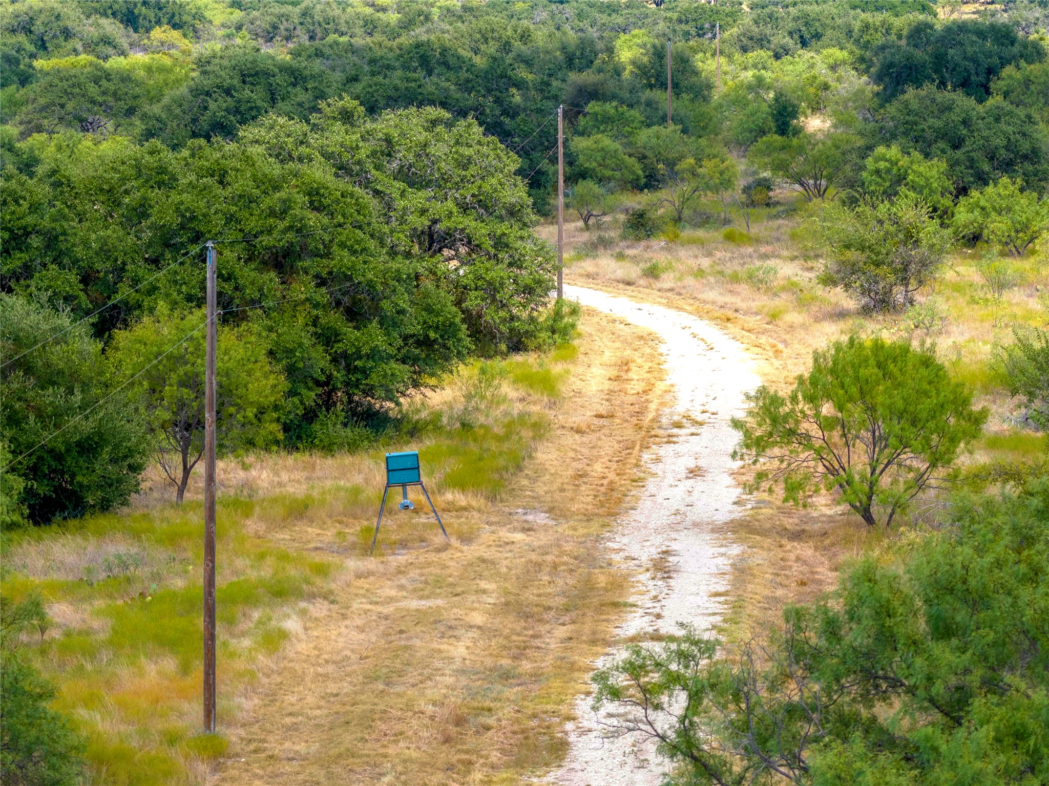 2550 Buck Ridge Drive Property Photo 44