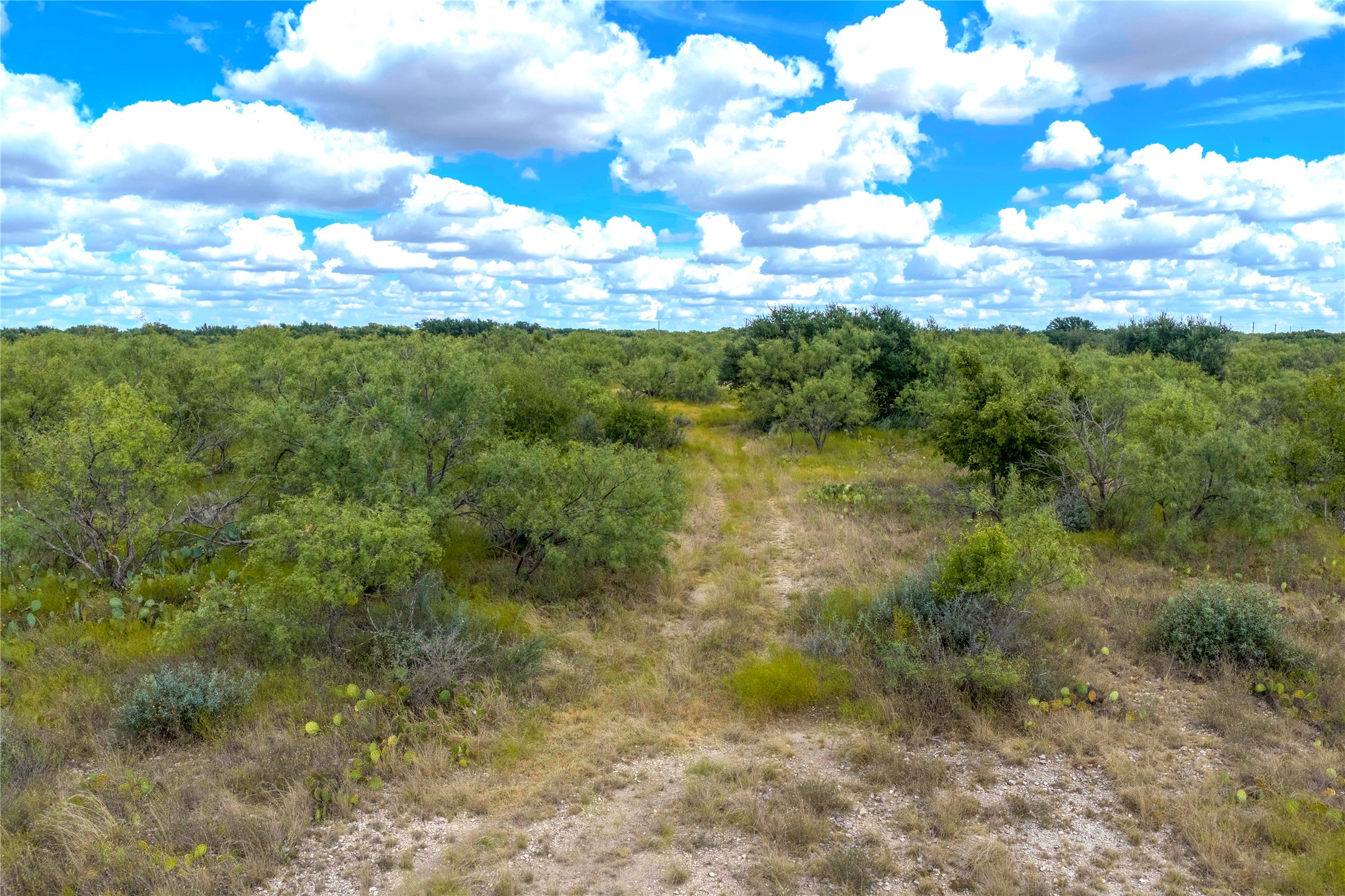 2550 Buck Ridge Drive Property Photo 45