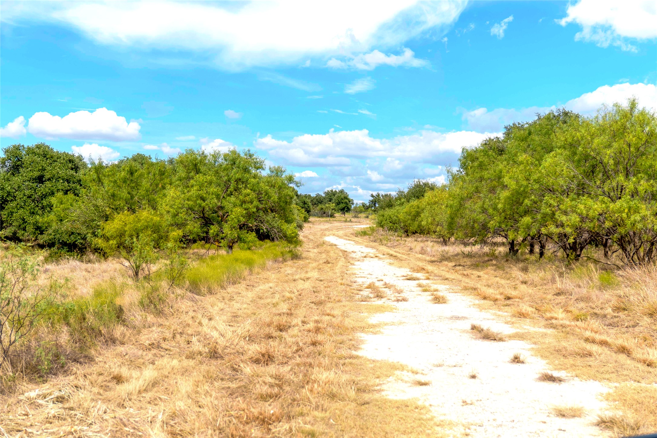 2550 Buck Ridge Drive Property Photo 48
