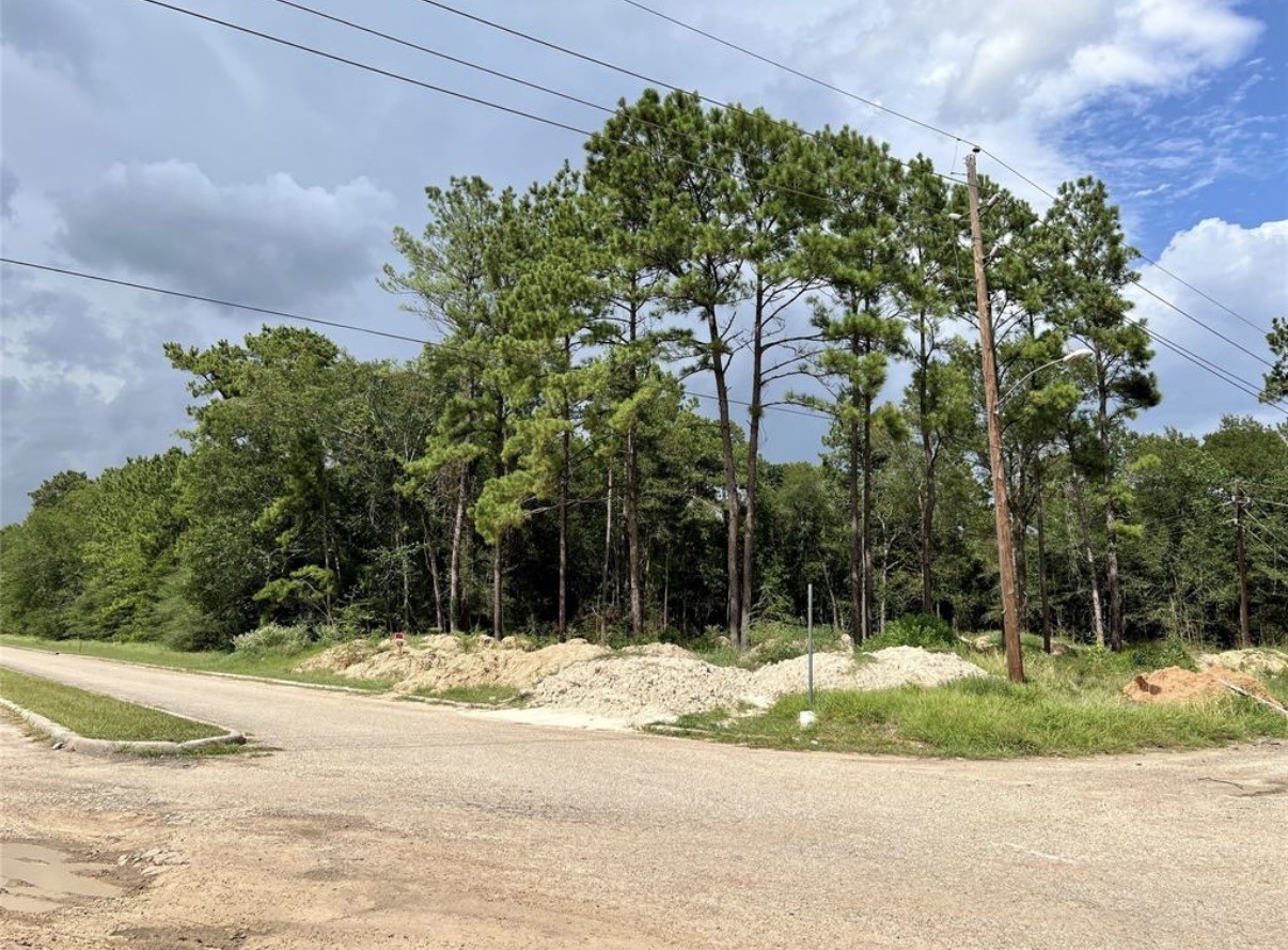 18702 Continental Parkway Property Photo 1