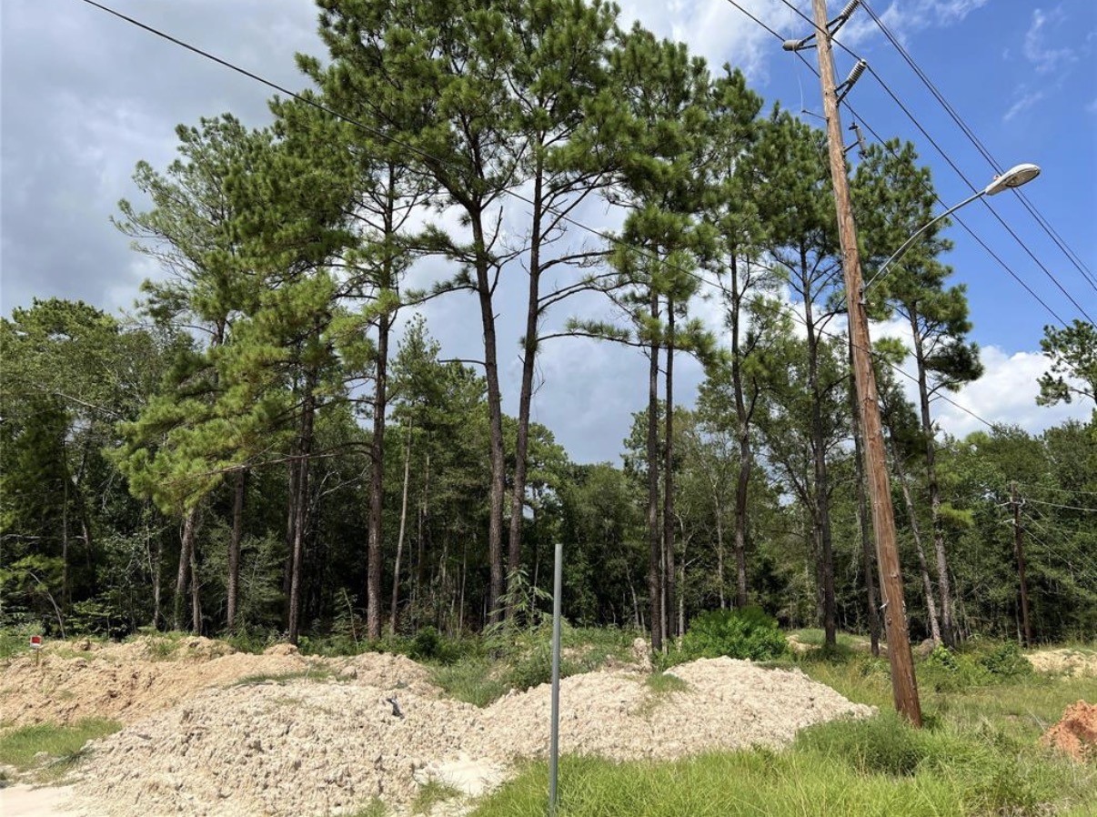 18702 Continental Parkway Property Photo 3