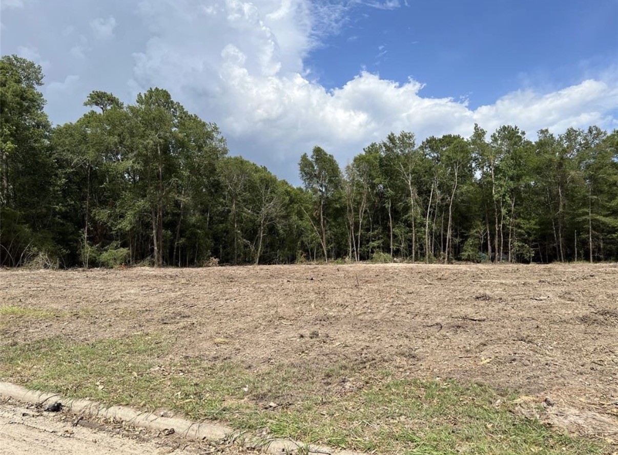 18702 Continental Parkway Property Photo 7