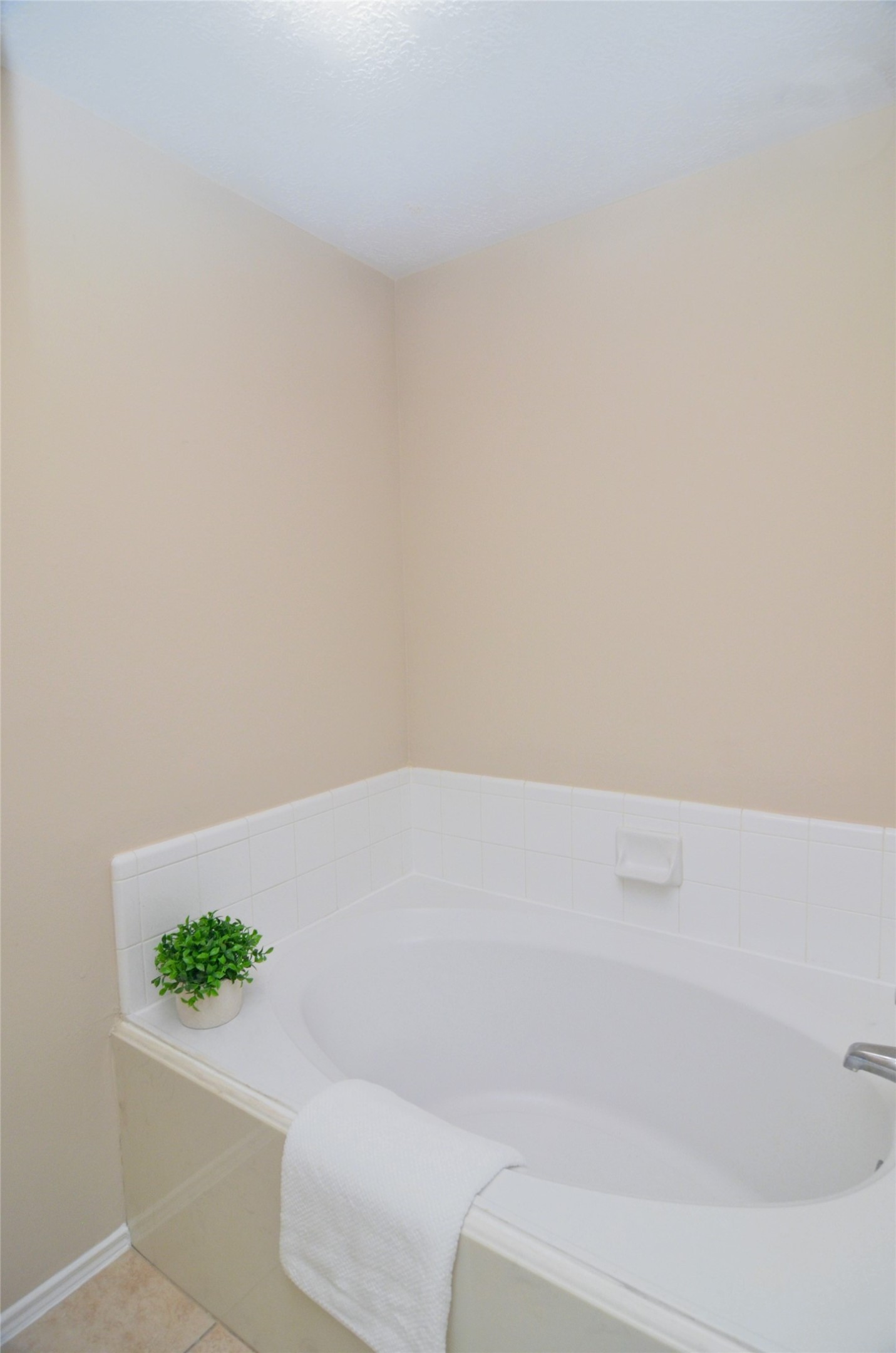 16915 Lighthouse View Drive Property Photo 19
