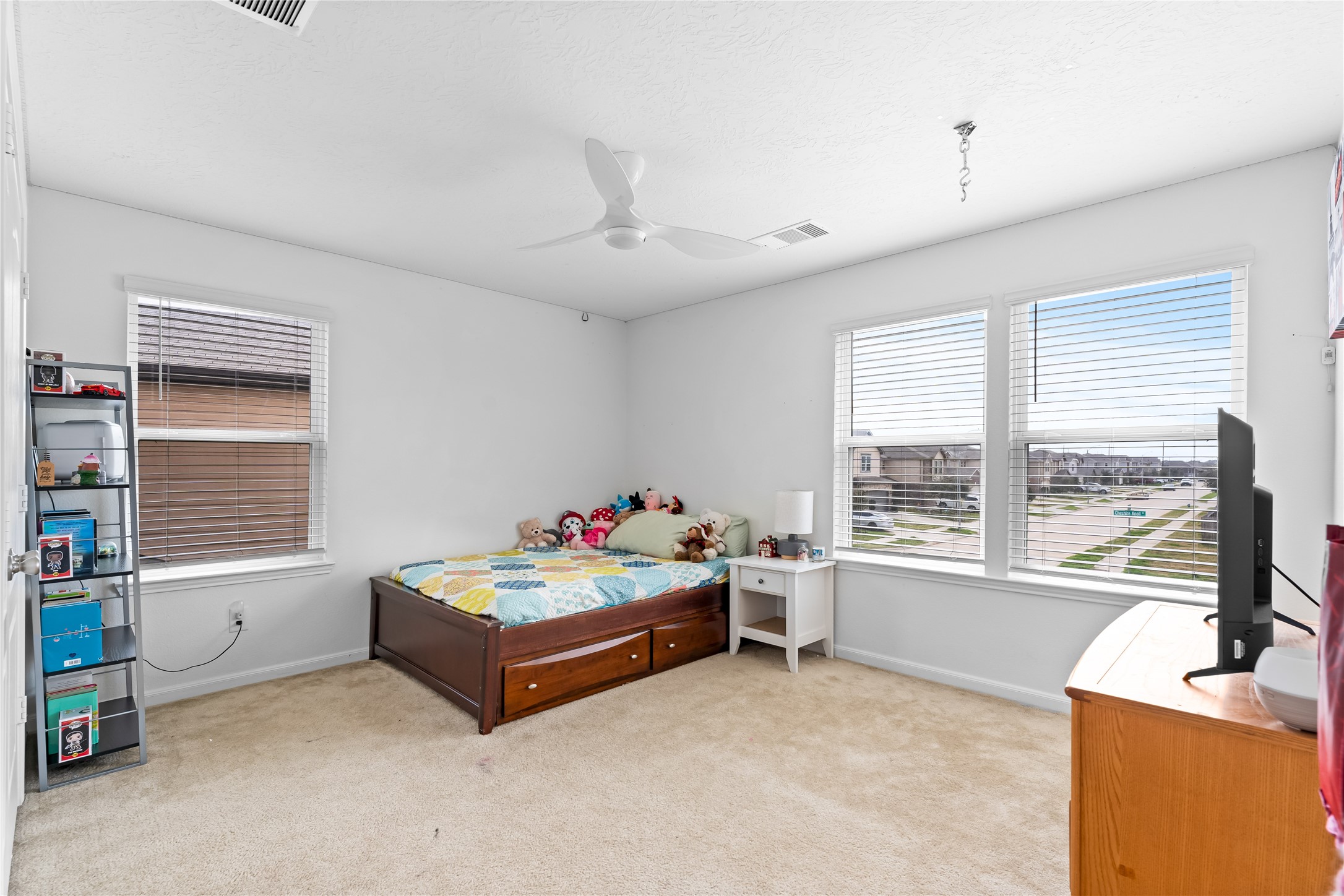 25310 Cheshire Knoll Street Property Photo 29
