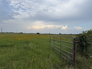 1240 Crooked Road Property Photo 14