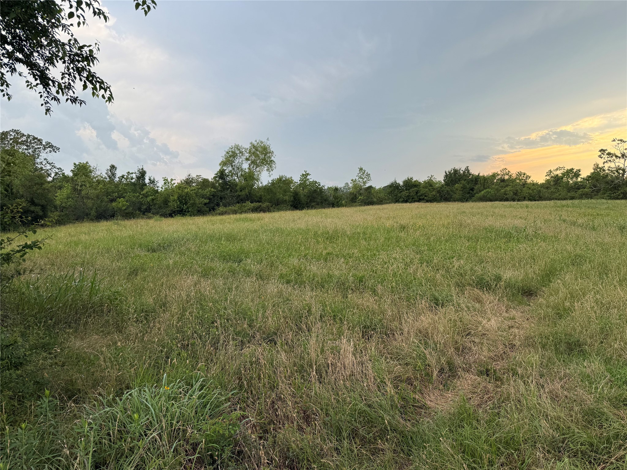 1240 Crooked Road Property Photo 16
