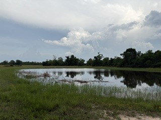 1240 Crooked Road Property Photo 19