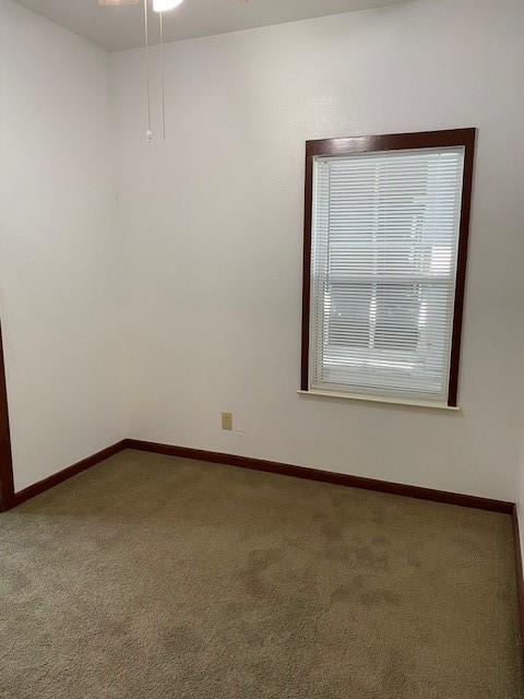 3914 Bernardo De Galvez Avenue Property Photo 7