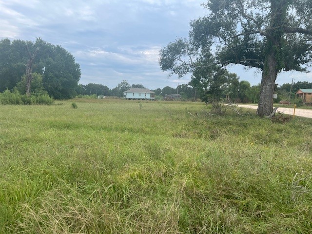 Cypress Cypress Lakes Property Photo 1