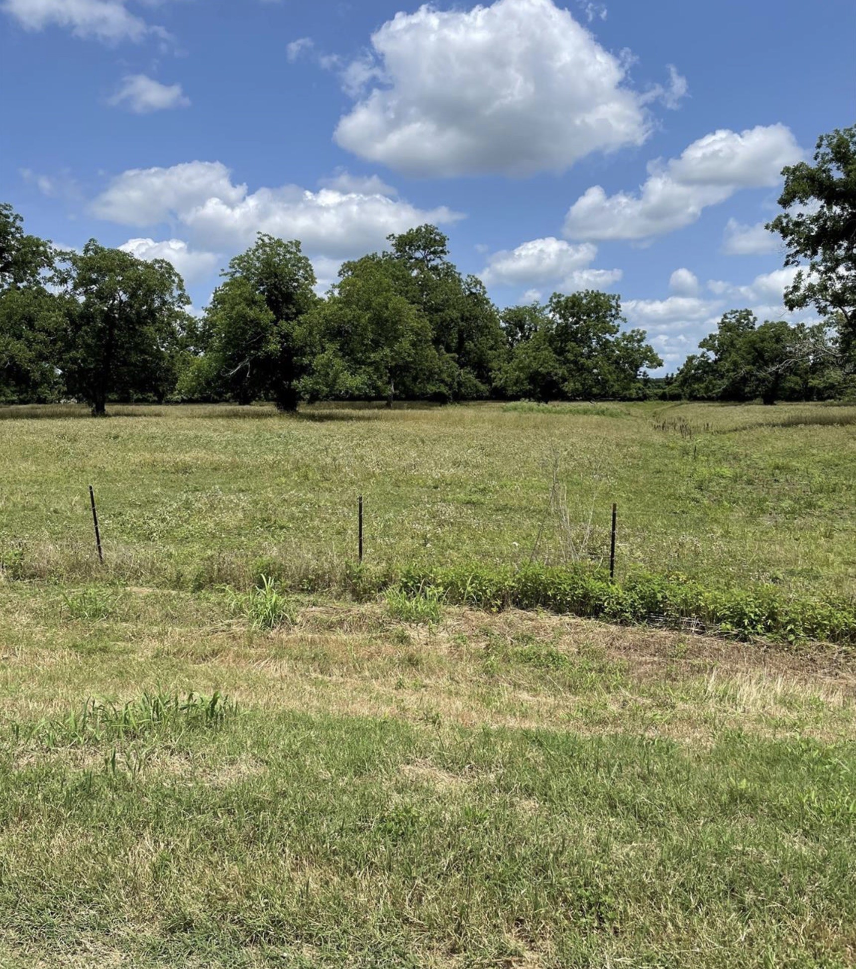 0001 Orchard Drive N Property Photo 7