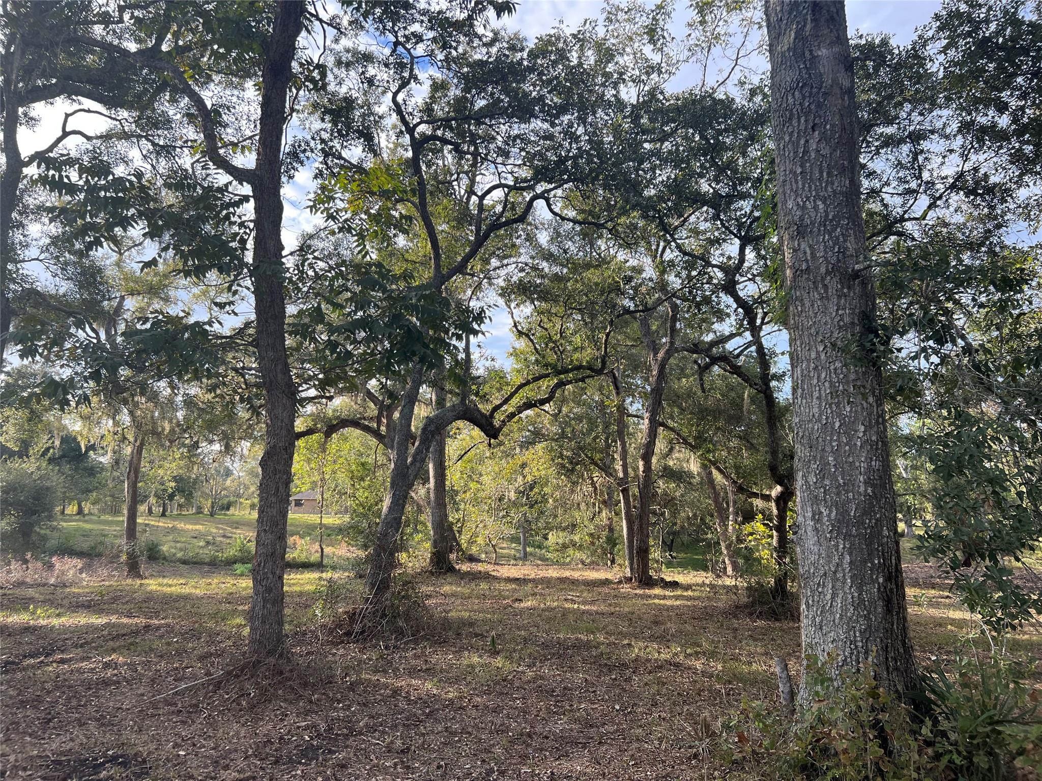 0 Cr-525, Sweeny Tx 77480 Property Photo 3