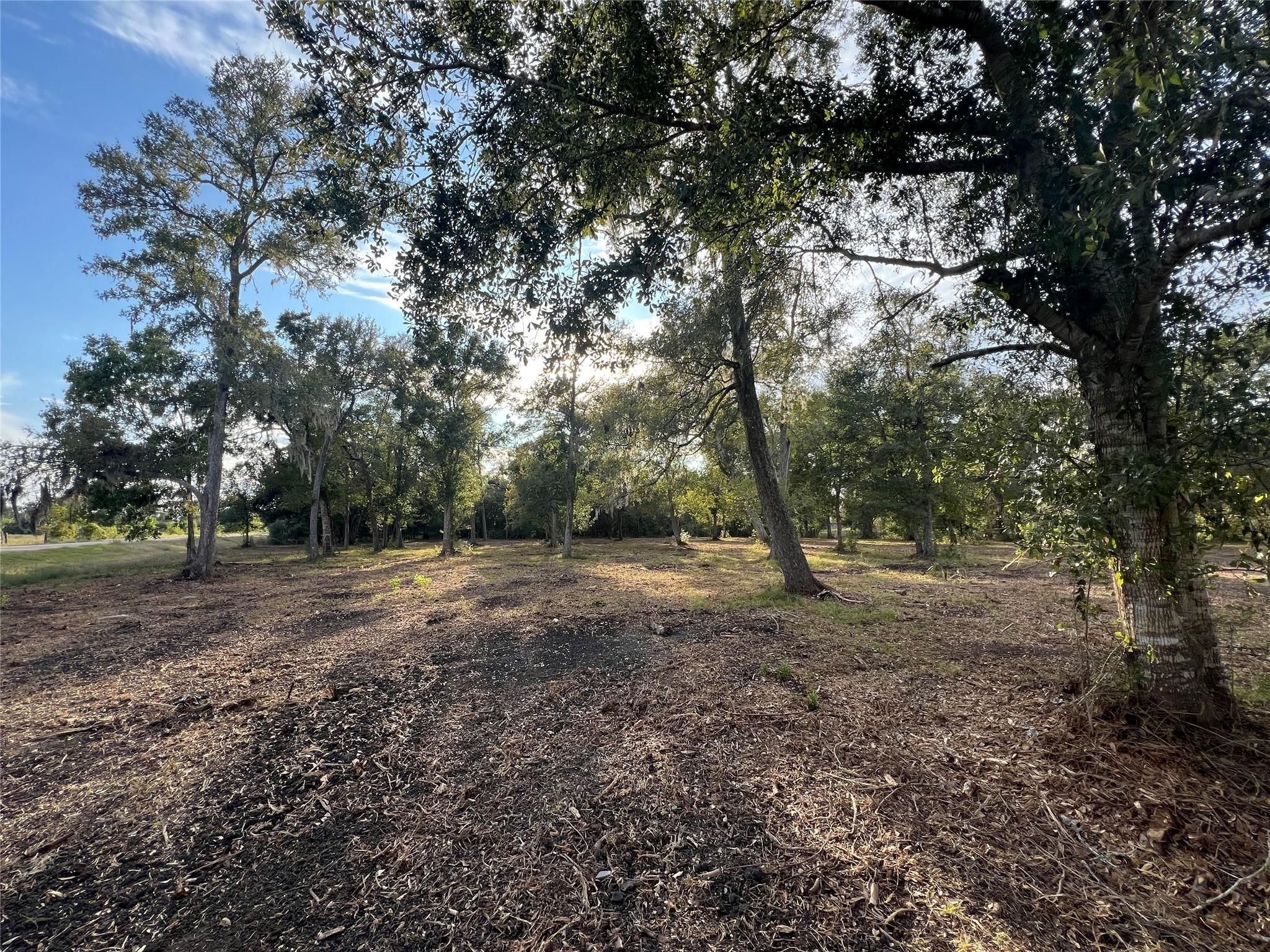 0 Cr-525, Sweeny Tx 77480 Property Photo 4