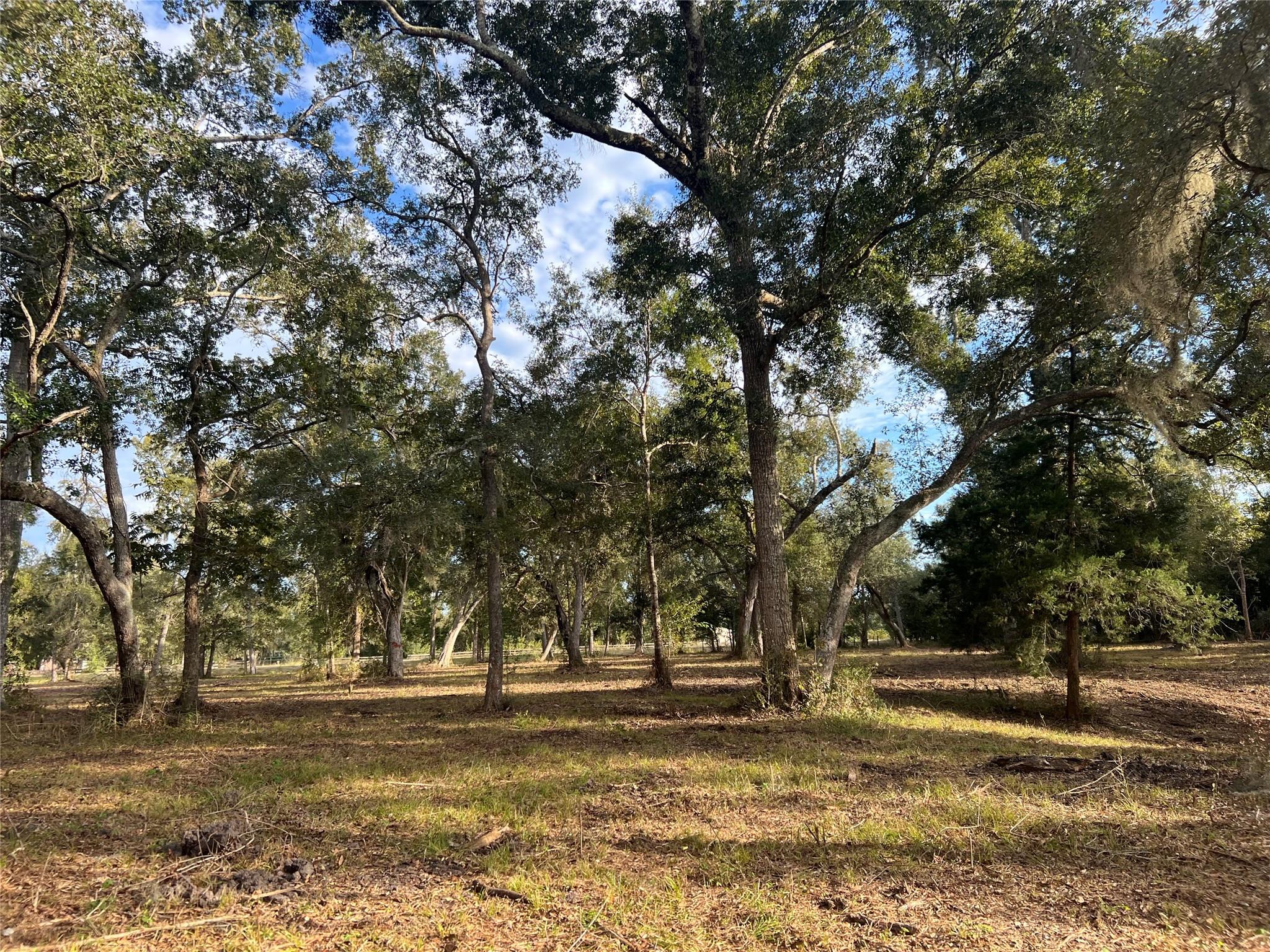 0 Cr-525, Sweeny Tx 77480 Property Photo 5
