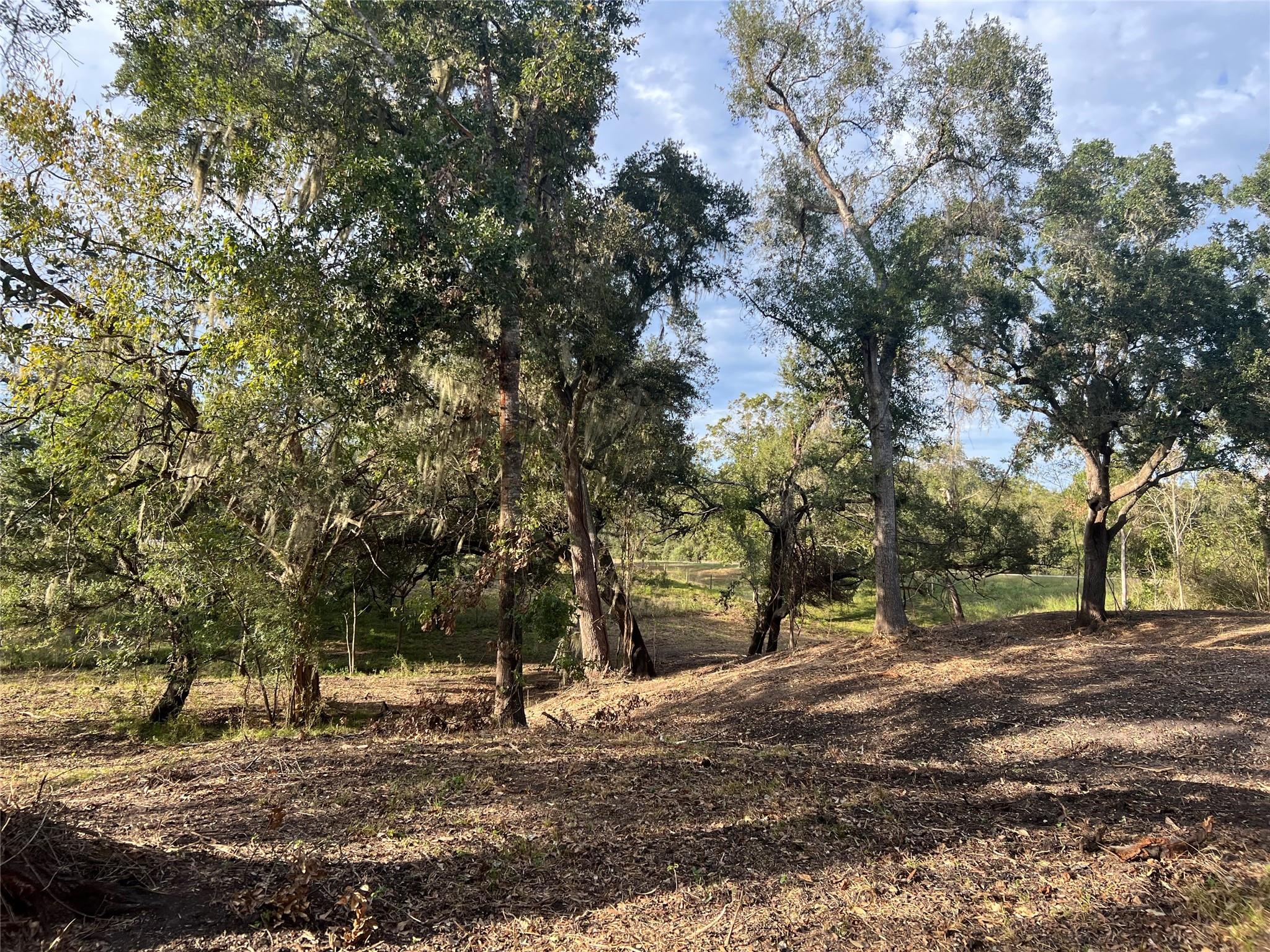 0 Cr-525, Sweeny Tx 77480 Property Photo 6