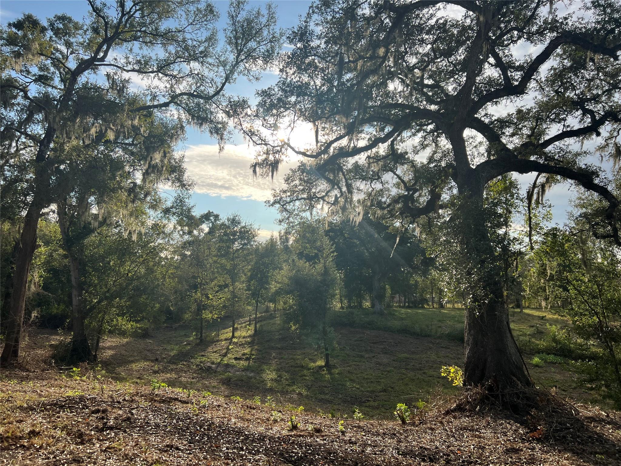 0 Cr-525, Sweeny Tx 77480 Property Photo 7