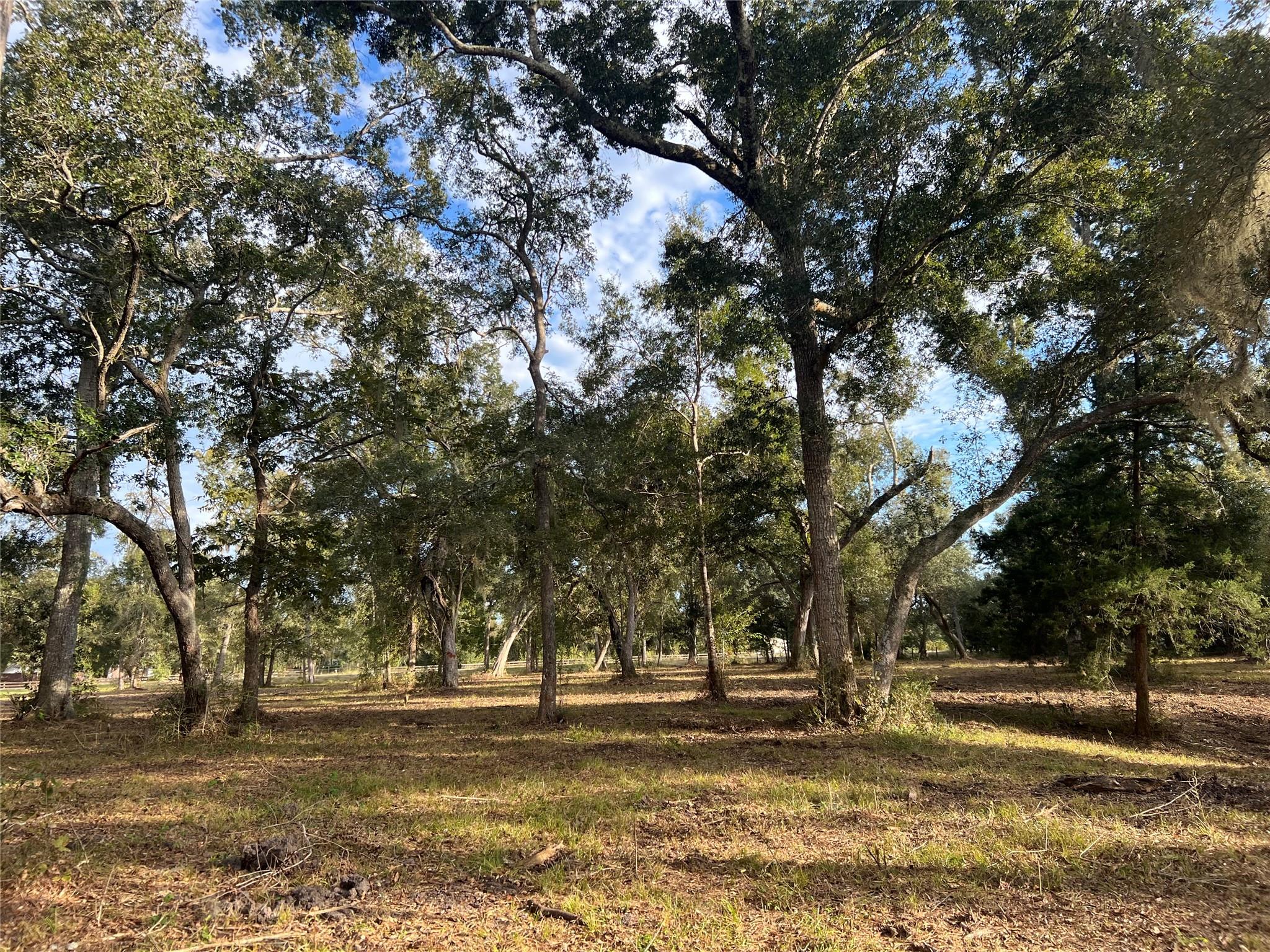 0 Cr-525, Sweeny Tx 77480 Property Photo 8