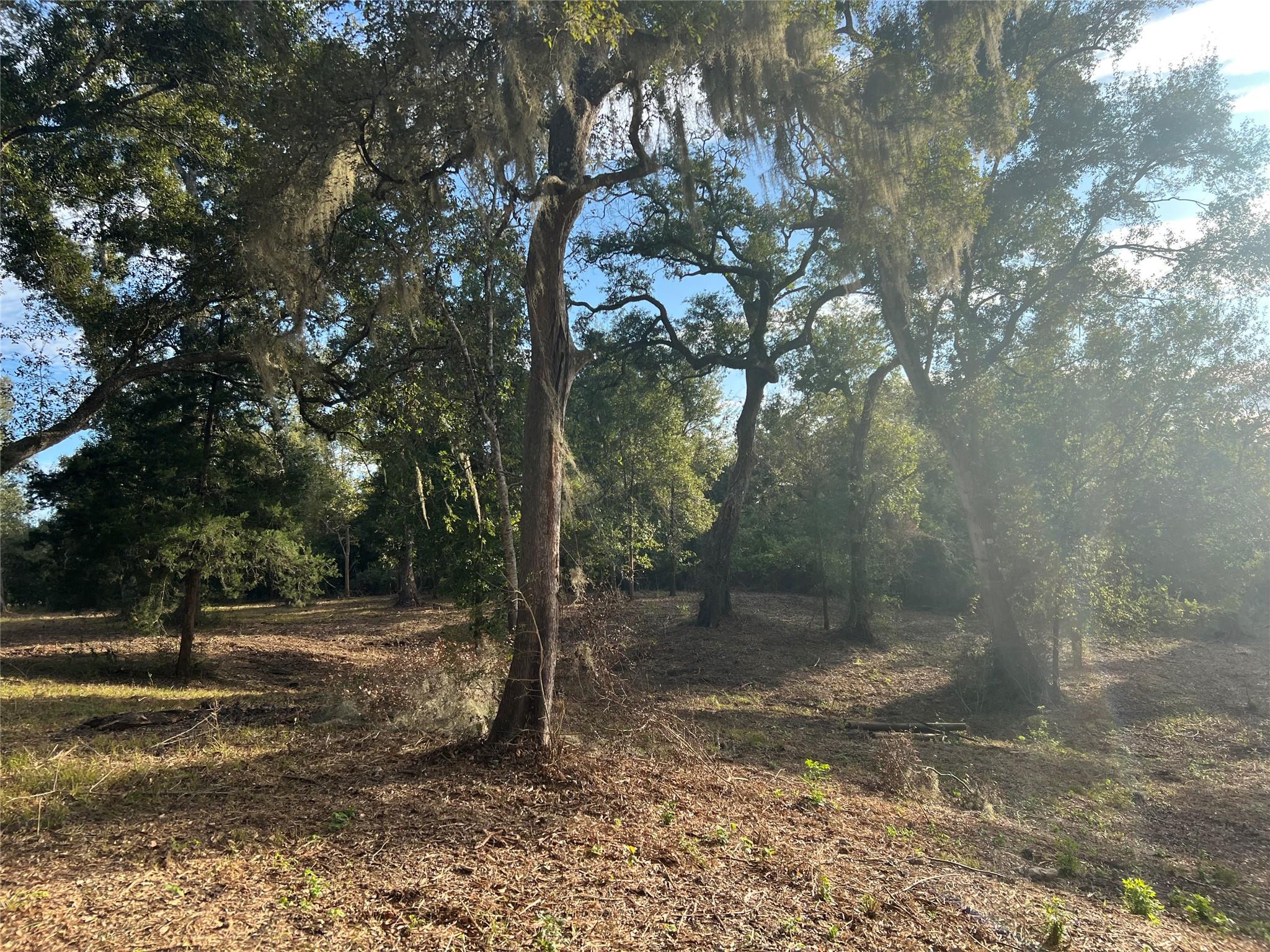 0 Cr-525, Sweeny Tx 77480 Property Photo 9