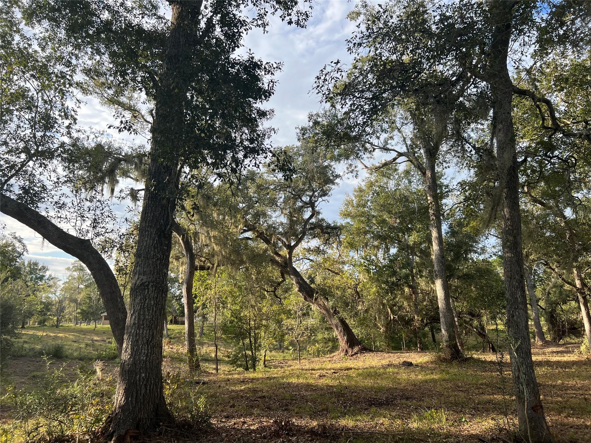 0 Cr-525, Sweeny Tx 77480 Property Photo 10