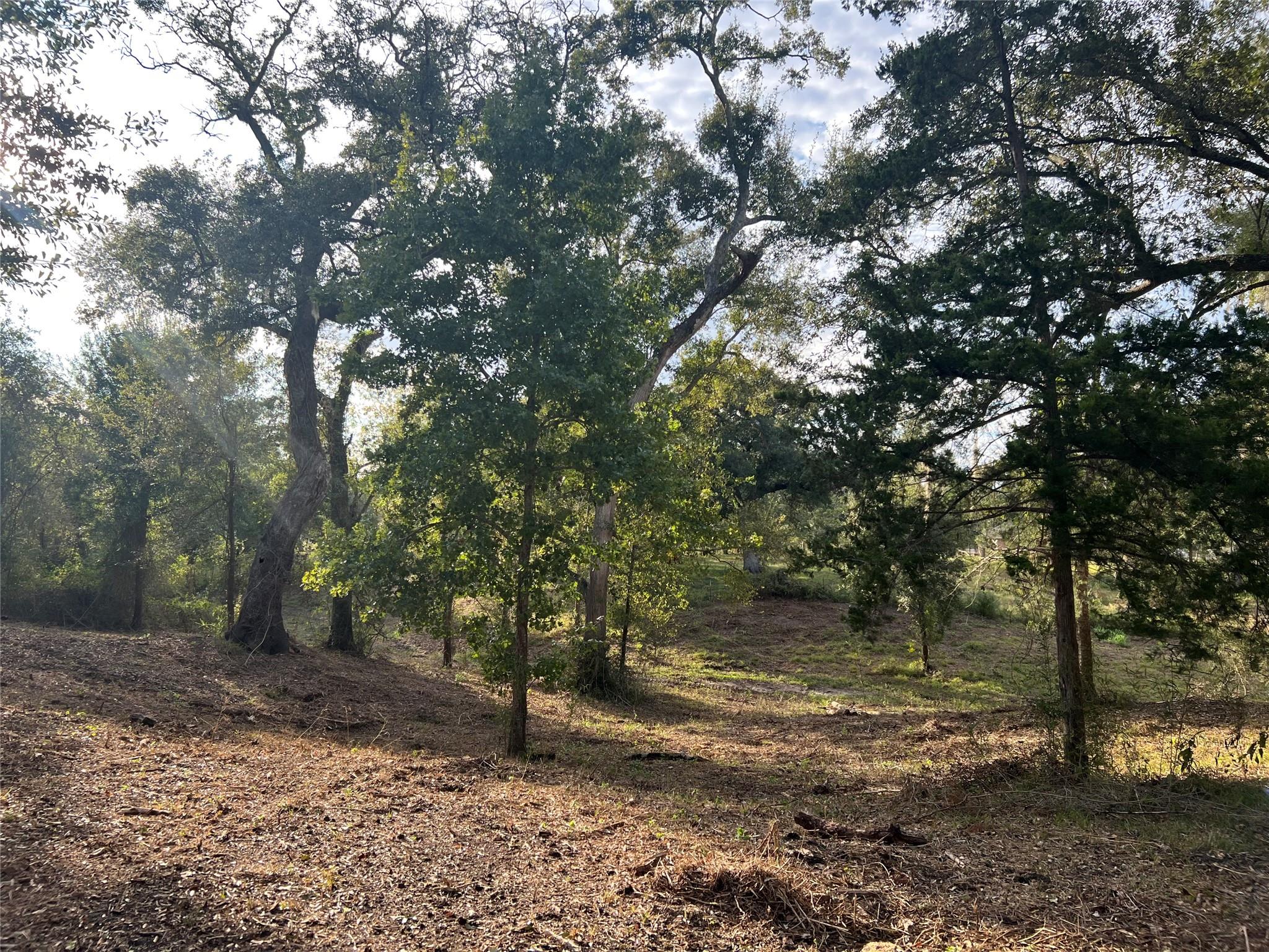 0 Cr-525, Sweeny Tx 77480 Property Photo 11